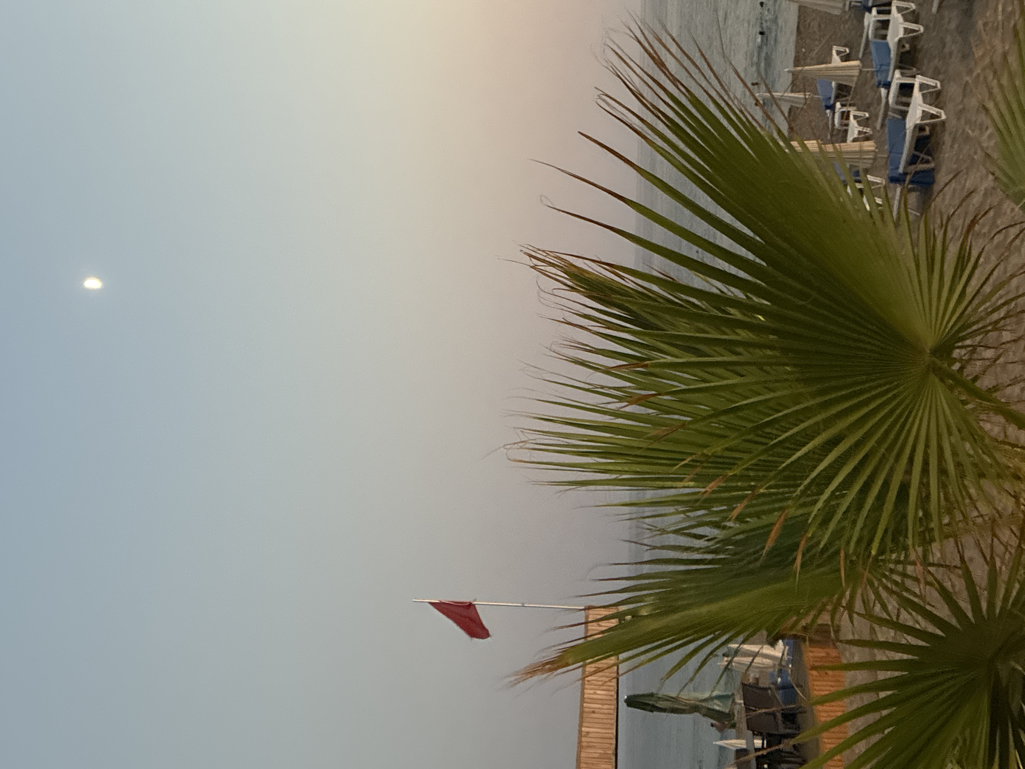 The image depicts a beach scene in Alanya, Turkey, with a view of the sea and sky. In the foreground, a large palm frond partially obscures the view. A red flag flies on a pole to the left of the frame, suggesting caution or a warning, possibly related to swimming conditions. In the background, the calm sea is visible, with a wooden structure extending into the water on the left side. The beach itself has rows of white lounge chairs and umbrellas, indicating a typical resort setting. The sky is a pale blue, transitioning to a soft pinkish hue near the horizon, with the moon visible as a small, bright crescent. The overall atmosphere is serene, likely captured during dusk or dawn. There are no people clearly visible in the immediate foreground or mid-ground, though a few figures can be faintly discerned in the water in the distance.