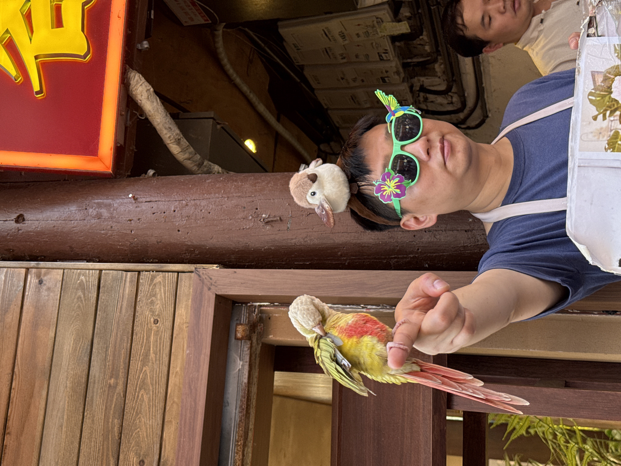 A man with flower-adorned sunglasses is holding a yellow and red parrot in his hand, with a plush toy duck attached to his head. Another person is visible behind him. The scene appears to be outdoors, near a wooden structure and signage. Based on the prompt's instruction, the location is Shapingba District, China.