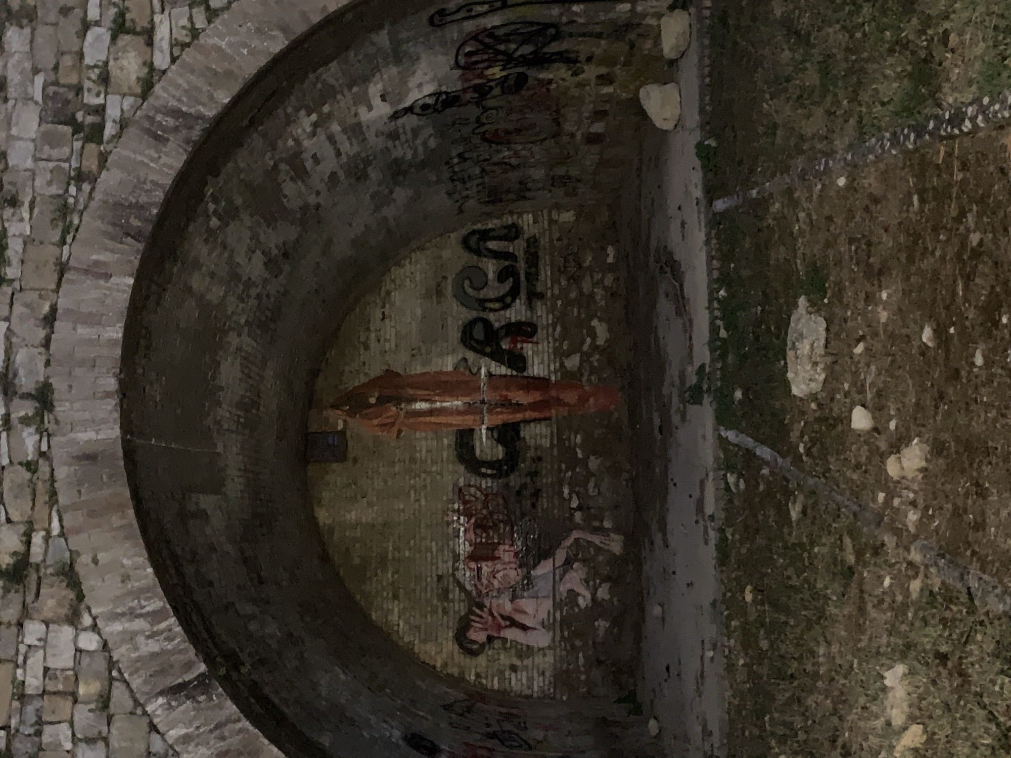 The media file shows an archway with graffiti. The archway is made of brick and stone. Inside the archway, there are several graffiti pieces on the walls. One prominent graffiti depicts a human figure that appears to be in distress or pain, with blood-like splatters. Above this figure, there's a large, orange, fish-like object, possibly a stylized representation or a mosaic. Further up, other graffiti tags are visible.
The setting appears to be outdoors, possibly in a historical or urban area, given the stonework and the presence of graffiti. The lighting suggests it might be late evening or early morning, as the scene is dimly lit, casting shadows and giving a somewhat gritty atmosphere. The ground outside the archway is covered in dry grass and scattered stones. The overall mood evoked is one of urban decay or artistic expression in an unconventional space. There is some visible text in the graffiti, but it is mostly illegible due to the image quality and the style of the graffiti. The location context of San Quirico d'Orcia, Italy, suggests this might be a historical structure within or near the town.