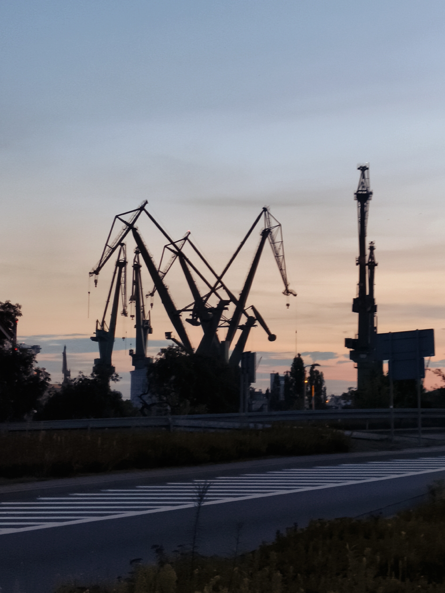 This is a photograph taken in Gdańsk, Poland, at dusk. The image features several large industrial cranes silhouetted against a twilight sky painted in hues of blue, pink, and orange. In the foreground, a paved road with a white striped pedestrian crossing is visible. The cranes are prominent structures, with their angular frames and long booms creating a dramatic industrial landscape. In the background, the outlines of buildings and trees can be discerned. The overall scene suggests a port or industrial area at the end of the day.