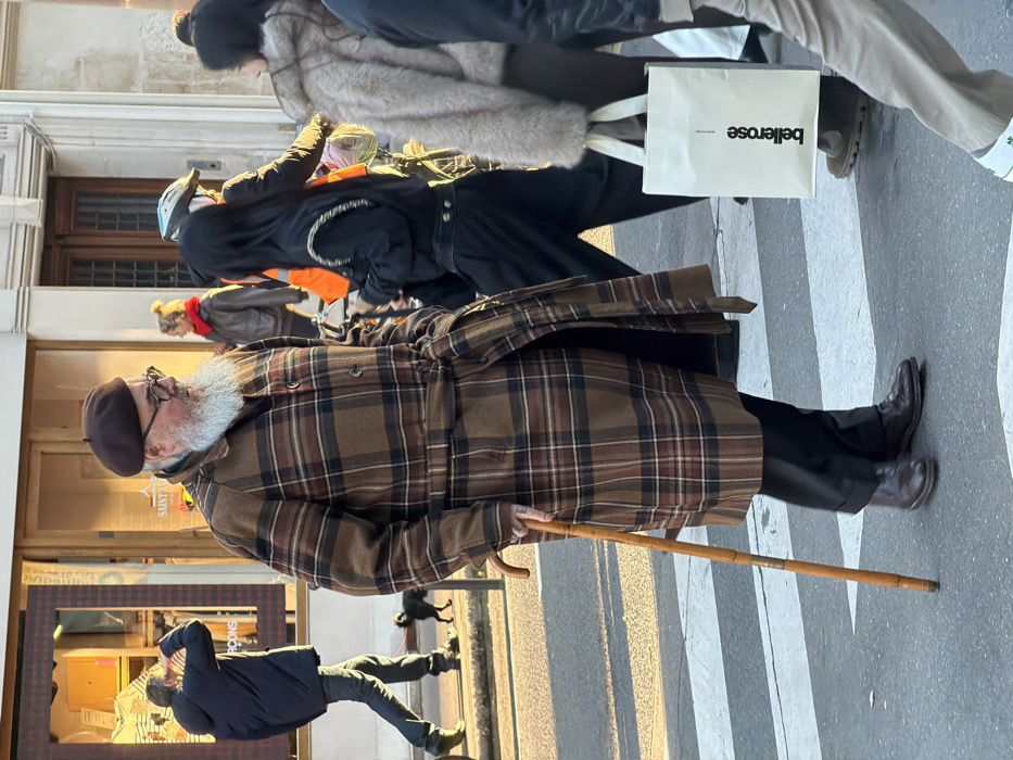 An older man with a white beard wears a brown plaid coat and beret. He holds a walking stick, appearing to walk on a crosswalk. Behind him are people walking in various clothing, including a woman with a white shopping bag labeled "bellerose". Another man is taking a photo in front of a store with a window display. A small dog is visible on the sidewalk.