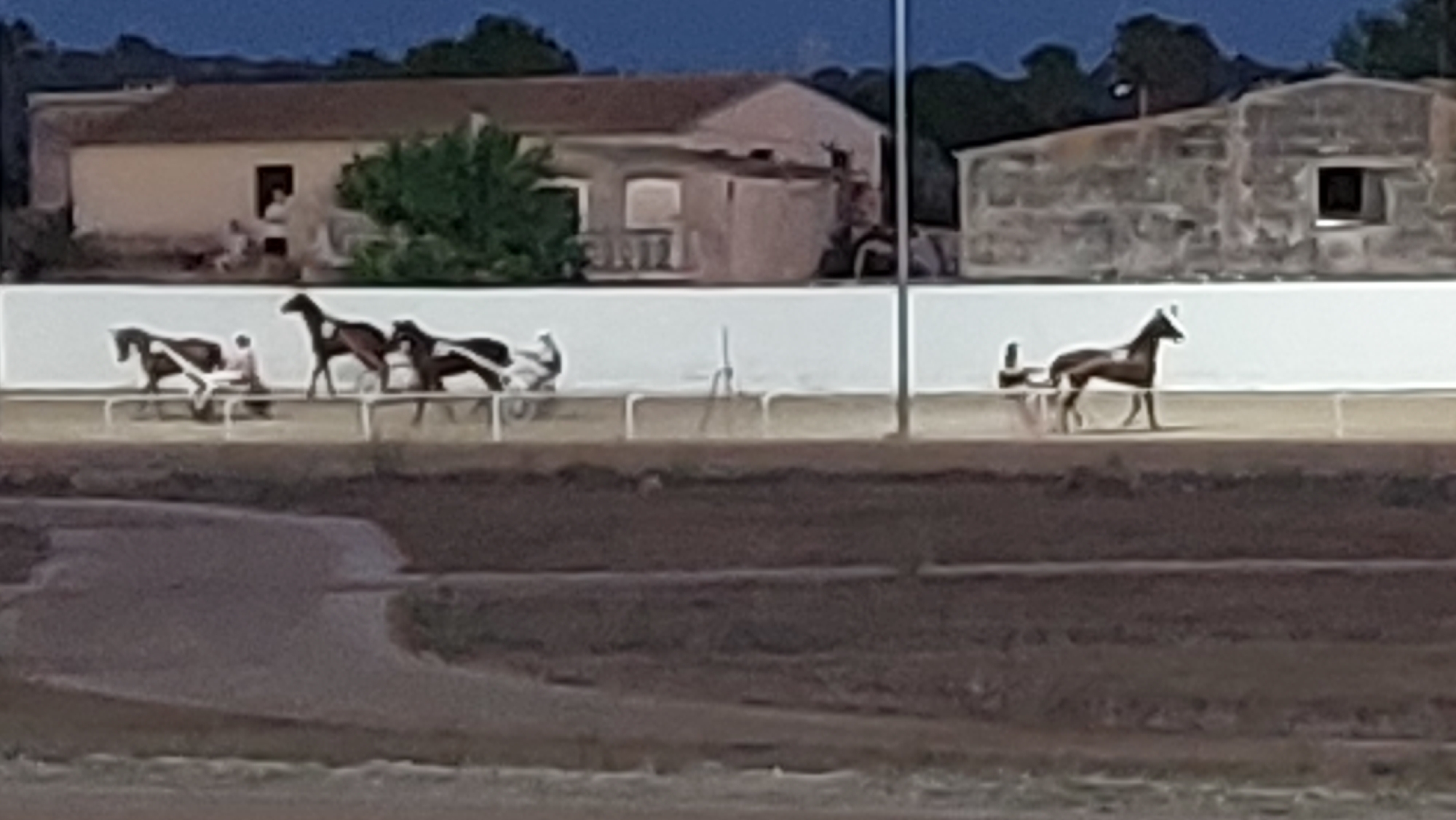 The image depicts a horse race or training session at a track in Manacor, Spain. In the foreground, a dirt track is visible. The midground features a white railing separating the track from the background. Several horses, some pulling sulkies with drivers, are in motion on the track. The horses appear to be dark brown with some white markings. In the background, there are buildings with light-colored walls and reddish-brown roofs, consistent with Mediterranean architecture. Trees and vegetation are present behind the buildings. The sky is a deep blue, suggesting it is either early morning or late evening.