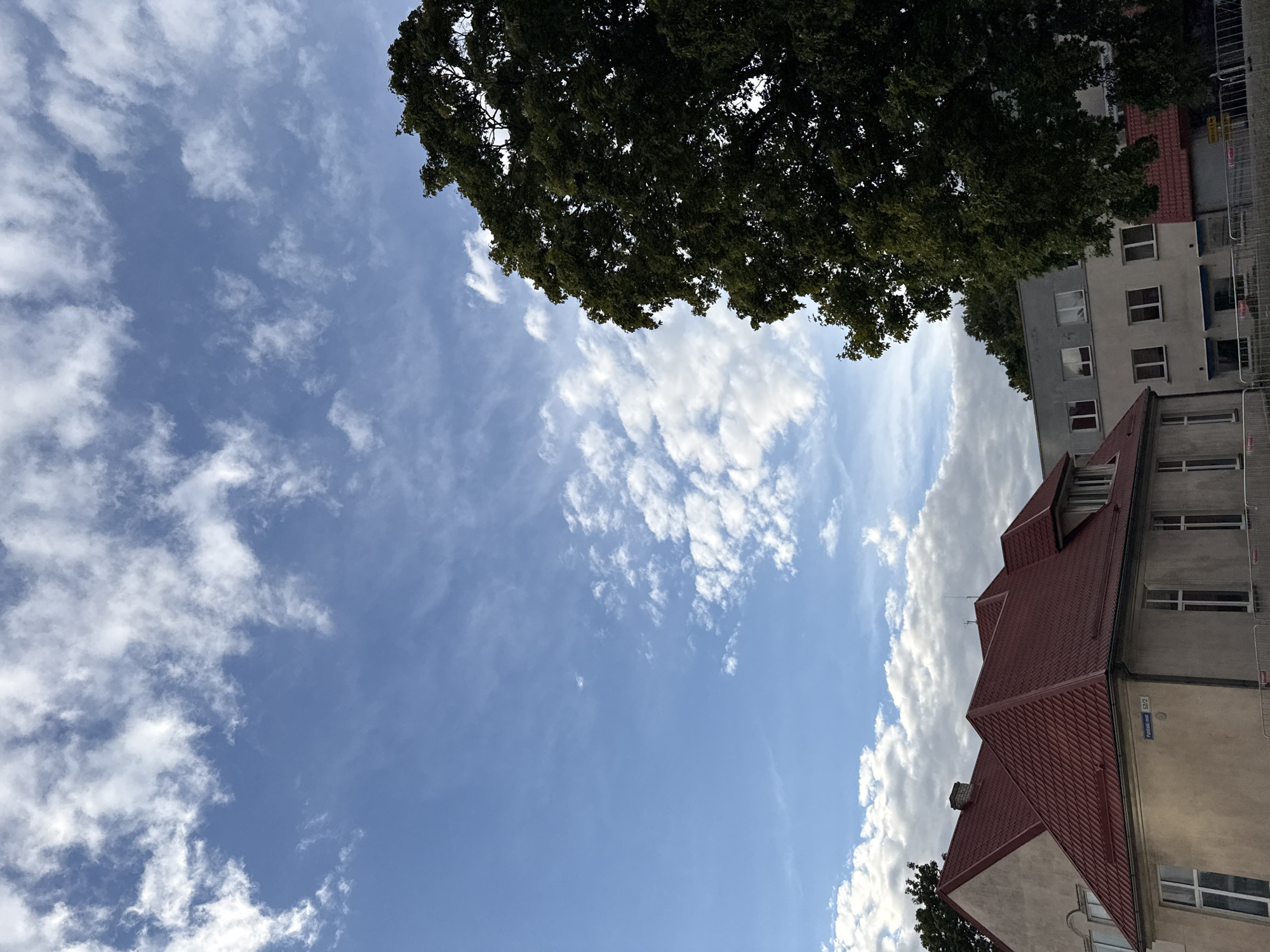 The image shows a view of buildings and a large tree against a blue sky with scattered white clouds. The buildings have red tiled roofs and are situated in what appears to be a residential or commercial area. One building on the left has a sign that reads "Panaśki most 52/2". The large tree on the right is full of green leaves and partially obscures the sky. The scene is likely captured during the daytime, given the bright sky. The style of architecture and the presence of a street sign suggest an urban environment. The specific location of Tallinn, Estonia is not discernible from the image itself without external information.