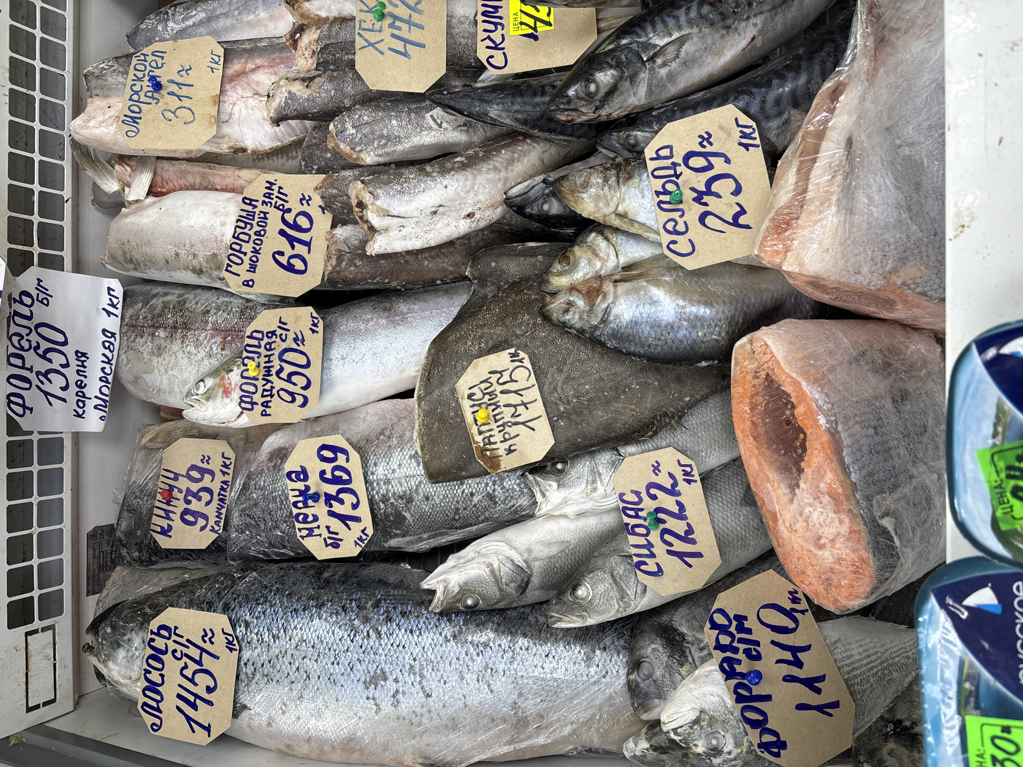 A photograph taken in Izhevsk, Russia, shows a display of various types of fish for sale. Several types of fish are arranged in a display case. Price tags in Russian identify the fish as "Лосось" (Salmon, 1454 rubles per kilogram), "КИНУЧ" (Chum Salmon, 939 rubles per kilogram), "Форель" (Trout, 1350 rubles per kilogram), "Морской Ангел" (Sea Angel, 311 rubles per kilogram), "Нерка" (Sockeye Salmon, 1369 rubles per kilogram), "ФОРЭЛЬ РАДУЖНАЯ" (Rainbow Trout, 950 rubles per kilogram), "ГОРБУША" (Pink Salmon, 616 rubles per kilogram), "Палтус" (Halibut, 795 rubles per kilogram), "Сибас" (Sea Bass, 1222 rubles per kilogram), "Дорадо" (Gilt-head bream, 1149 rubles per kilogram), "Сельдь" (Herring, 239 rubles per kilogram), "Хек" (Hake, 472 rubles per kilogram), and "Скумбрия" (Mackerel, 41 rubles per kilogram). The fish are wrapped in plastic. The photo has been taken at eye level.