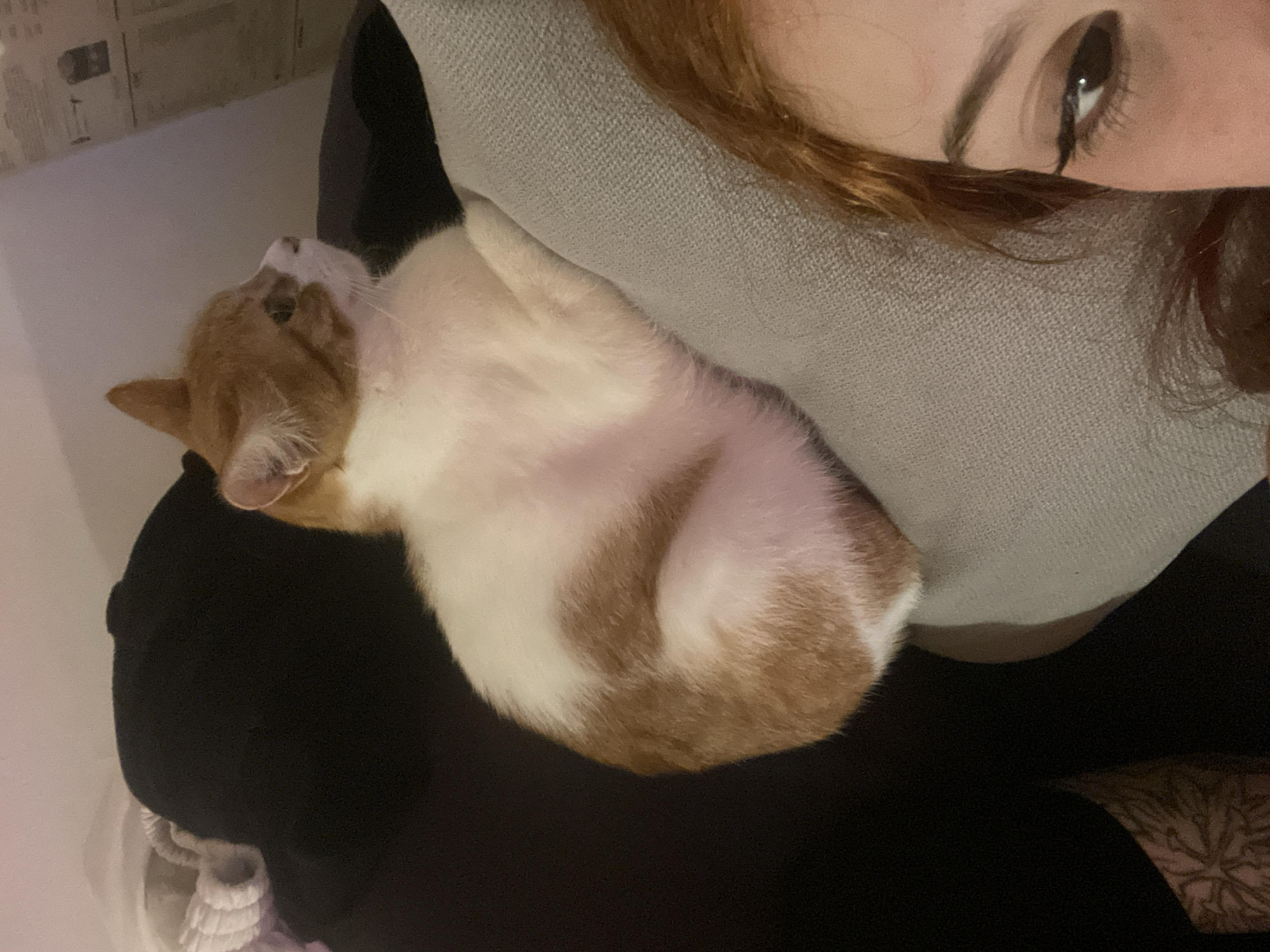 A close-up, high-angle shot features a woman and a cat. The woman is visible from the side, showing her eye, eyebrow, and a section of her reddish-brown hair. She appears to be wearing a light grey hooded garment. Resting against her is a cat, predominantly white with patches of orange fur. The cat is curled up. The background consists of a black garment, with a tattoo partially visible, and a light-colored wall with what appears to be a newspaper clipping or poster. There is no information to determine the location of the image in the city of Buenos Aires, Argentina.