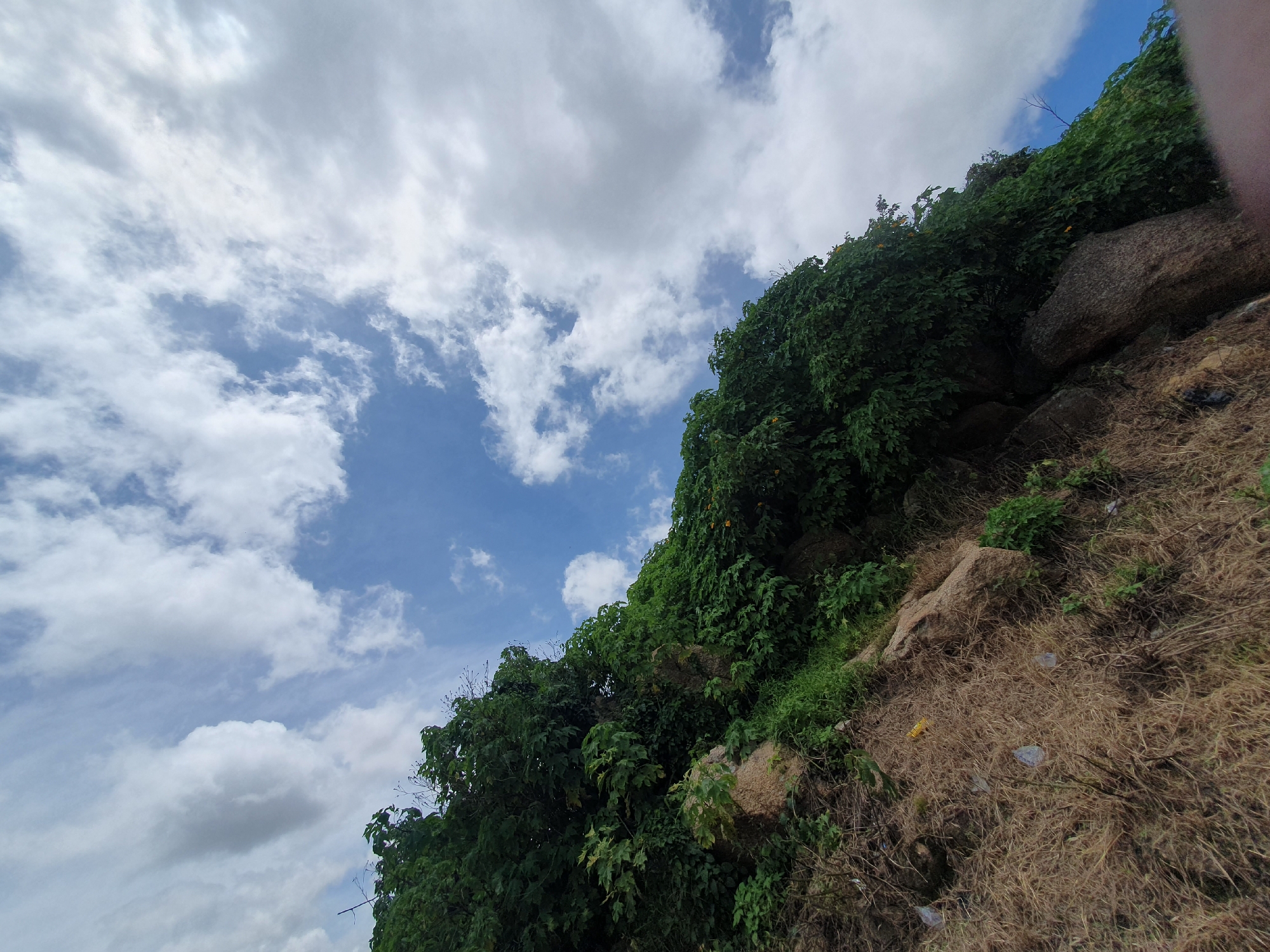The image depicts a rocky, overgrown hillside with dense green foliage and dry grass in the foreground. Scattered among the dry grass are pieces of plastic litter, including a yellow bottle and several transparent plastic wrappers. Large rocks are visible, partially covered by the vegetation and grass. The sky above is blue with scattered white clouds. The scene appears to be a natural landscape within or near a city, potentially Gura Top, Nigeria, given the context. There are no people or animals visible in the image.