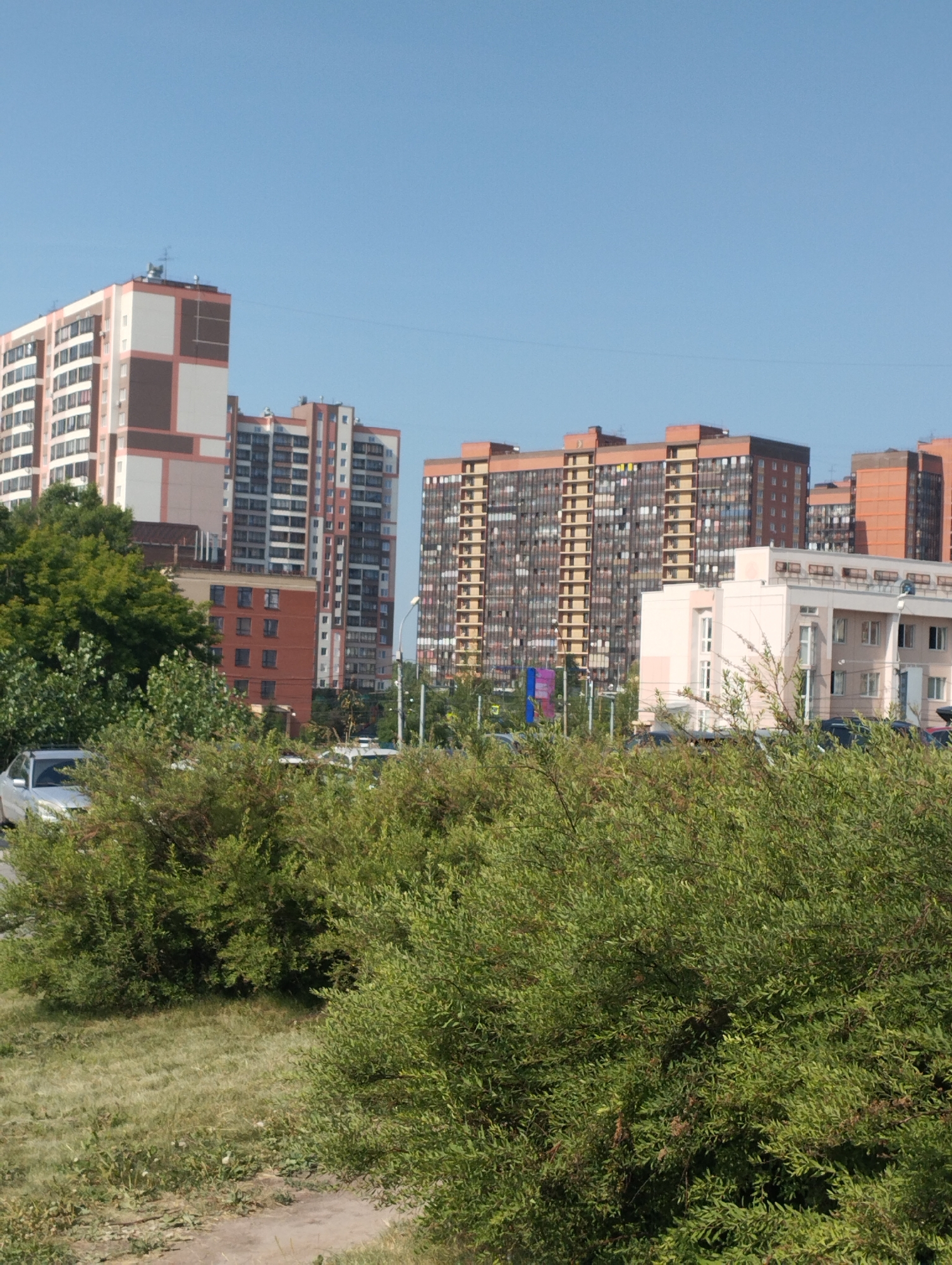 The image depicts a residential area in Novosibirsk, Russia, on a clear day. In the background, multiple multi-story apartment buildings are visible. One building on the far left is light-colored with pink and white accents. Adjacent to it, to the right, is a tall, slender building with a repeating pattern of balconies and windows. Further to the right, a wider, orange-brown building with numerous balconies dominates the middle ground. To the right of that, a lighter, modern building with a beige and white facade stands out. In the foreground, a dense green bush with small leaves occupies the lower half of the frame, obscuring the ground and a portion of the street. A silver car is partially visible on the left side of the image, parked on what appears to be a road or parking area. The sky above is a uniform, light blue.