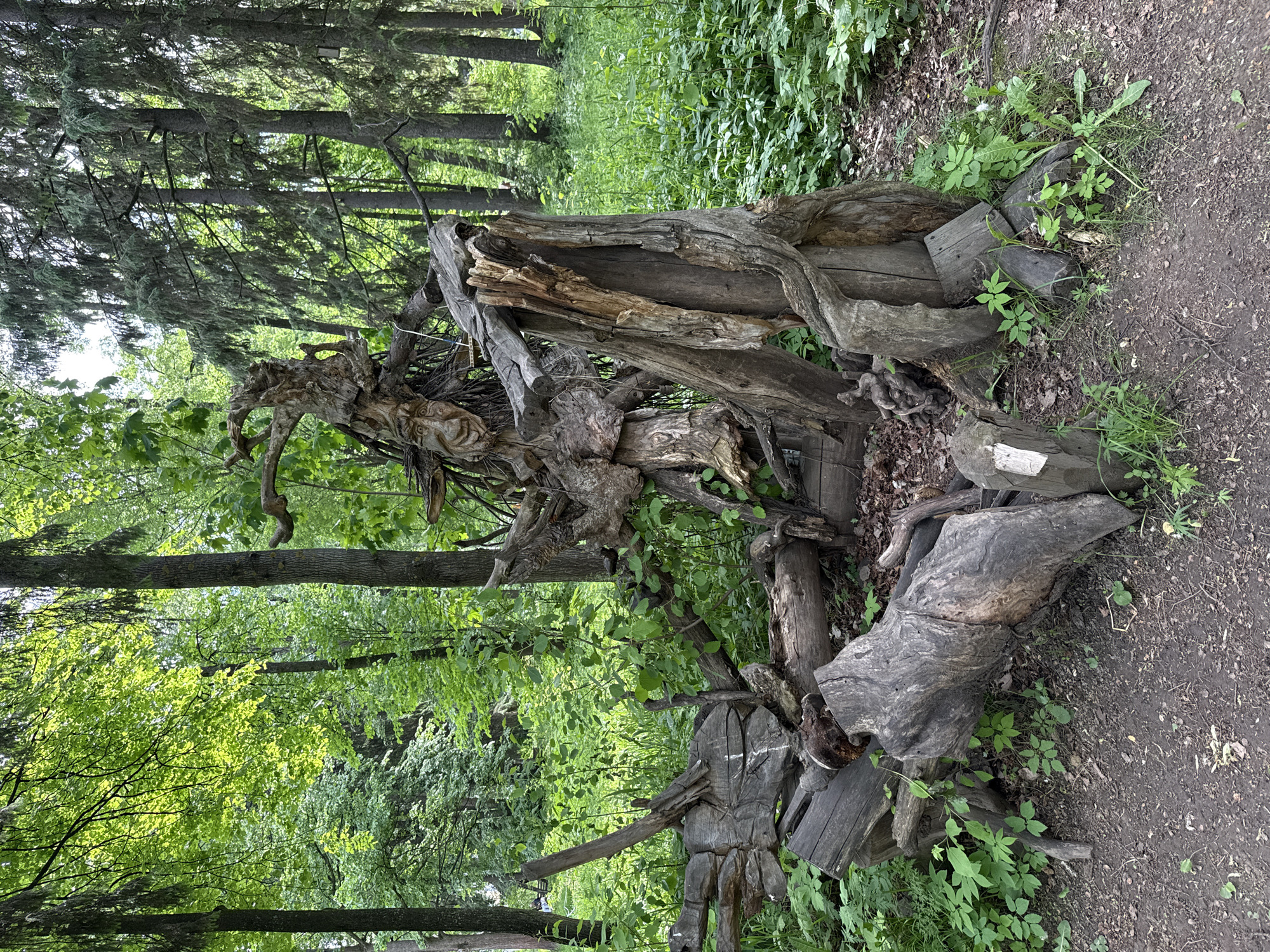 The image shows an outdoor wooded area, possibly a park, featuring sculptures made from tree trunks and roots. The sculptures have carved faces and forms. The location is likely Izhevsk, Russia, based on the user's request. The environment includes green foliage, trees, and a dirt path. There are no people visible in the image.