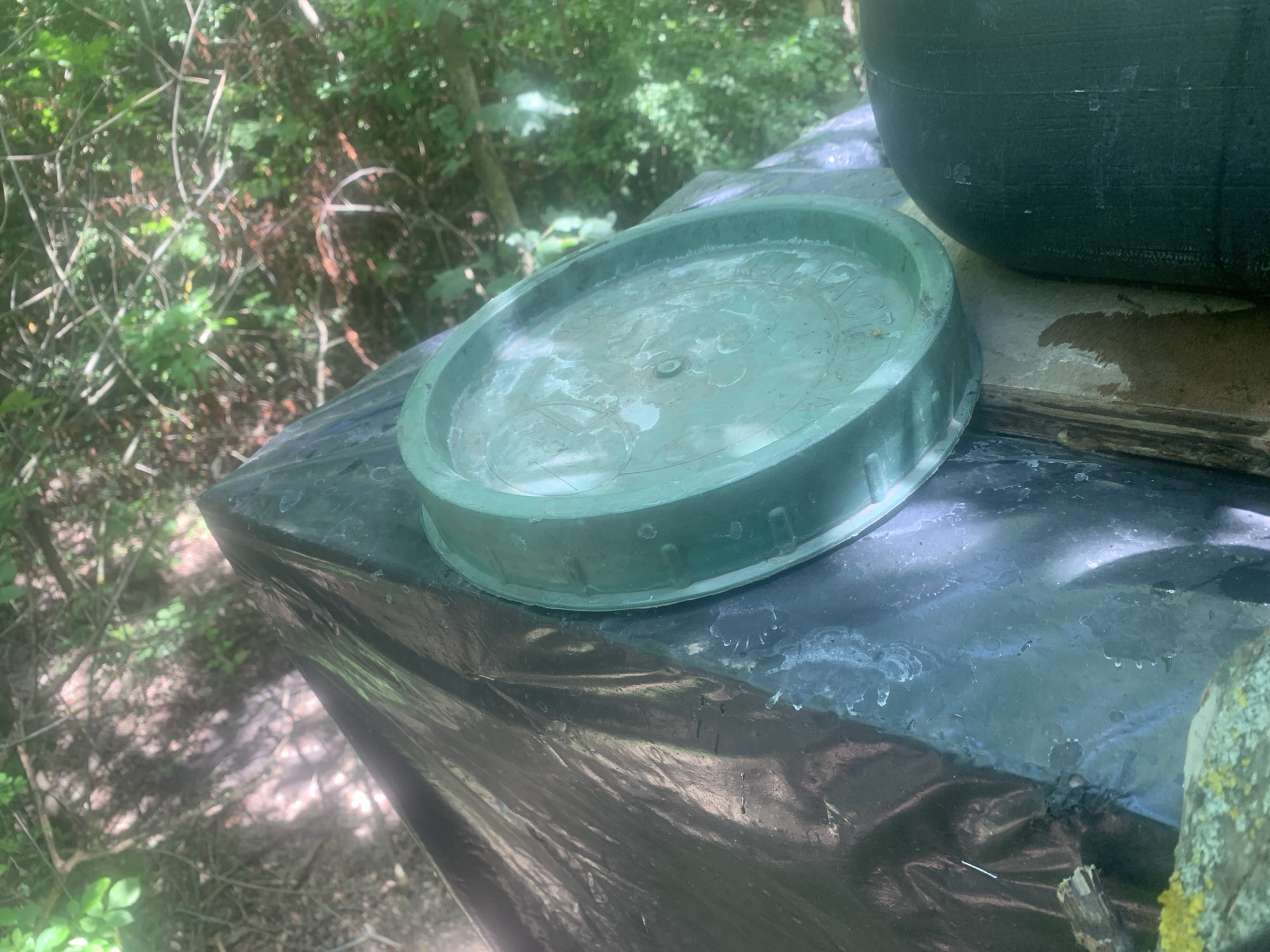 The image shows an outdoor scene with a focus on a black plastic-covered object topped with a translucent green lid. The lid appears to be made of plastic and has a textured surface with some circular markings and what might be dried water spots or residue. A larger, dark green, possibly black, object, which is partially visible on the right side of the frame, sits next to the green lid. This object also appears to be made of plastic and has a textured, possibly ribbed, surface.
The objects are placed on what looks like a wooden surface covered with black plastic sheeting, suggesting some form of outdoor storage or makeshift structure. The background is a natural setting with lush green foliage and trees, indicating a wooded or overgrown area. Sunlight filters through the leaves, creating dappled light on the ground and objects. The overall impression is of an outdoor, possibly slightly neglected, environment. There is no visible activity or event taking place; the image is a still composition of objects within a natural setting. No text is clearly discernible on the objects or their surroundings. The time of day appears to be daytime, given the lighting. The location context of Oleksiivka, Ukraine, is provided externally.