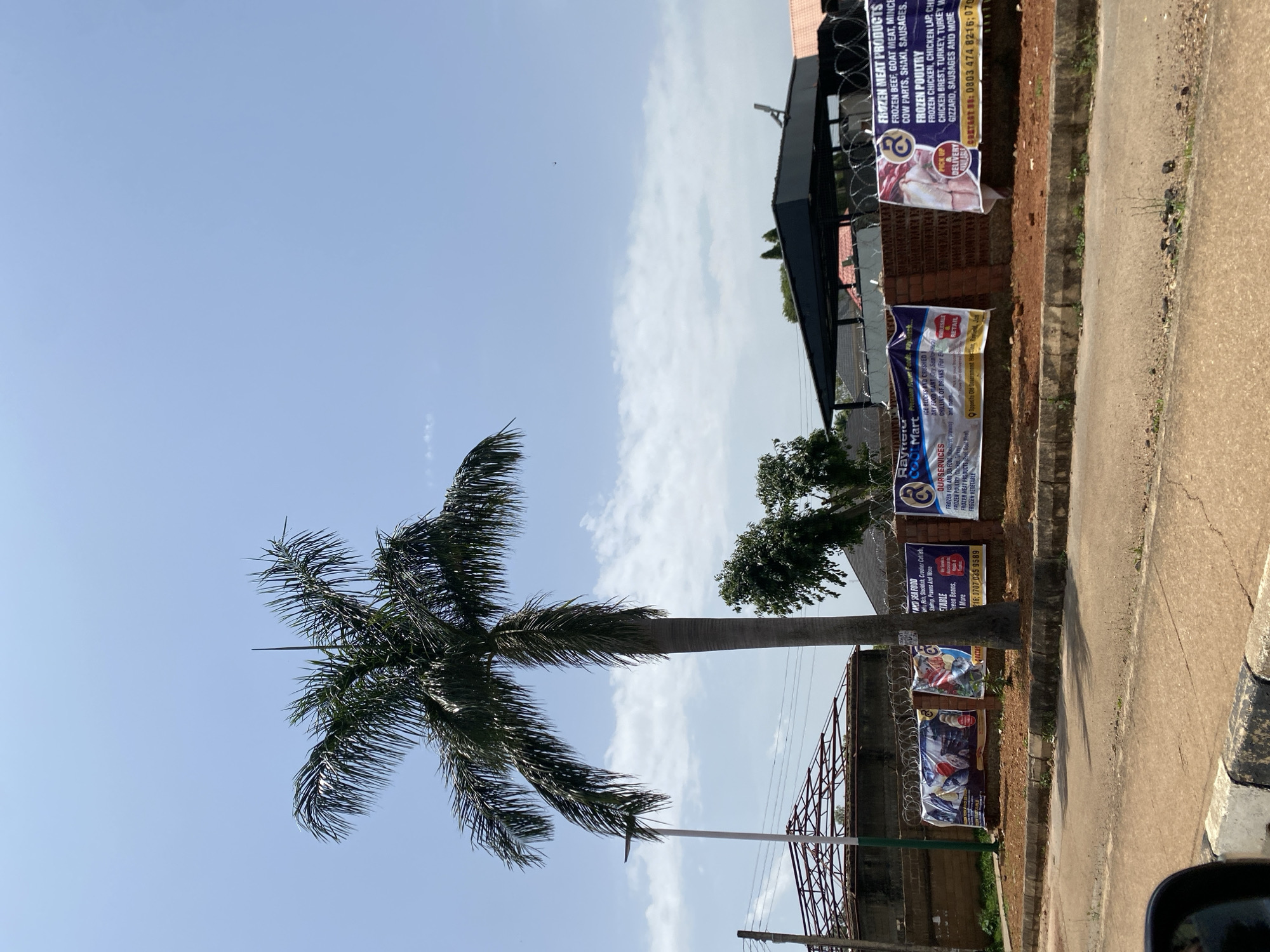 The image shows a street scene in Bar Jirgi Summa, Nigeria. A tall palm tree dominates the left side of the frame, with its fronds reaching towards a clear blue sky with sparse white clouds. In the background, a brick wall runs horizontally, adorned with several banners advertising food products. To the left of the wall, a building with a partially constructed roof is visible, along with a street lamp. On the right side of the wall, a dark-colored structure with a sloped roof is partially visible. The foreground shows a paved road with a concrete curb and a portion of a car's side mirror in the lower left corner. The banners on the wall display images of seafood and meat products, along with text related to frozen foods, services, and contact information. The overall impression is a sunny day in an urban or semi-urban environment.