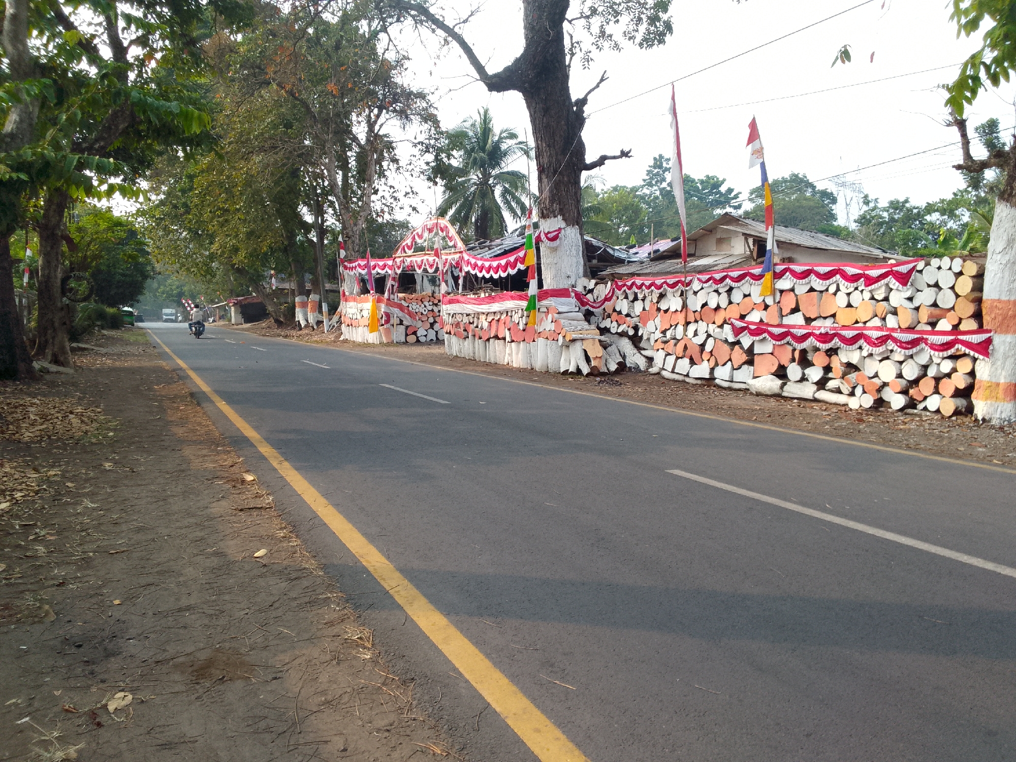 The image depicts a roadside scene in Haurwangi, Indonesia. A paved road with a yellow lane divider runs horizontally through the frame. On the right side of the road, a large stack of cut logs is arranged, with many of the logs painted white at their ends and decorated with red and white draped fabric. Some of the logs are painted with orange and white stripes. A large tree with a white-painted trunk and orange stripes stands near the stacked logs. Indonesian flags are visible, including one on a pole near the stacked logs and another smaller one on a multi-colored pole. A canopy structure, also decorated with red and white fabric, is set up in front of a portion of the stacked logs, possibly for an event. In the background, there are buildings with corrugated roofs and more trees. On the left side of the road, there is a dirt shoulder covered with fallen leaves and vegetation. A motorcycle with a rider is visible on the road in the distance, heading away from the camera. The overall impression is a festive or celebratory roadside decoration.