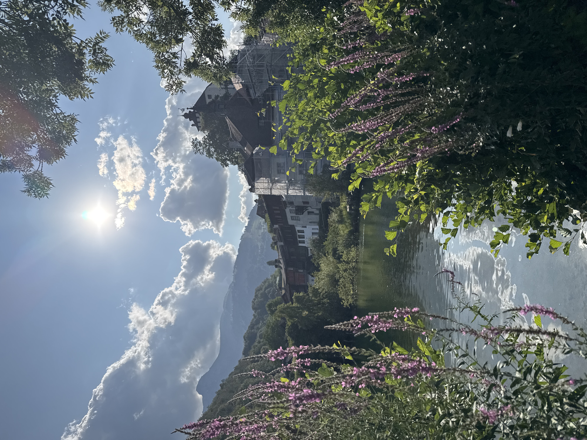 The image depicts a tranquil waterscape in Buchs (SG), Switzerland, with a focus on the confluence of natural and architectural elements under a bright, sunny sky dotted with fluffy clouds. In the foreground, a lush array of green foliage and tall, slender plants with delicate pinkish-purple flowers frame the scene, their vibrant colors contrasting with the calm, dark water. The water's surface reflects the sky and clouds, creating a shimmering, almost ethereal effect.
Beyond the water, a cluster of buildings lines the bank, their architecture suggesting a historical European town. One prominent building, partially obscured by scaffolding, appears to be undergoing renovation or construction, its white facade stark against the darker, more traditional roofs of its neighbors. A taller, darker structure with a distinctive tower or spire rises above the main buildings, hinting at a castle or historical monument.
The background is dominated by rolling, verdant hills and mountains, their peaks softened by distance and atmospheric haze. The sun, positioned high in the sky, casts a bright glare and illuminates the clouds, creating a sense of warmth and a beautiful summer day. The overall impression is one of serene beauty, where nature and human habitation coexist harmoniously.