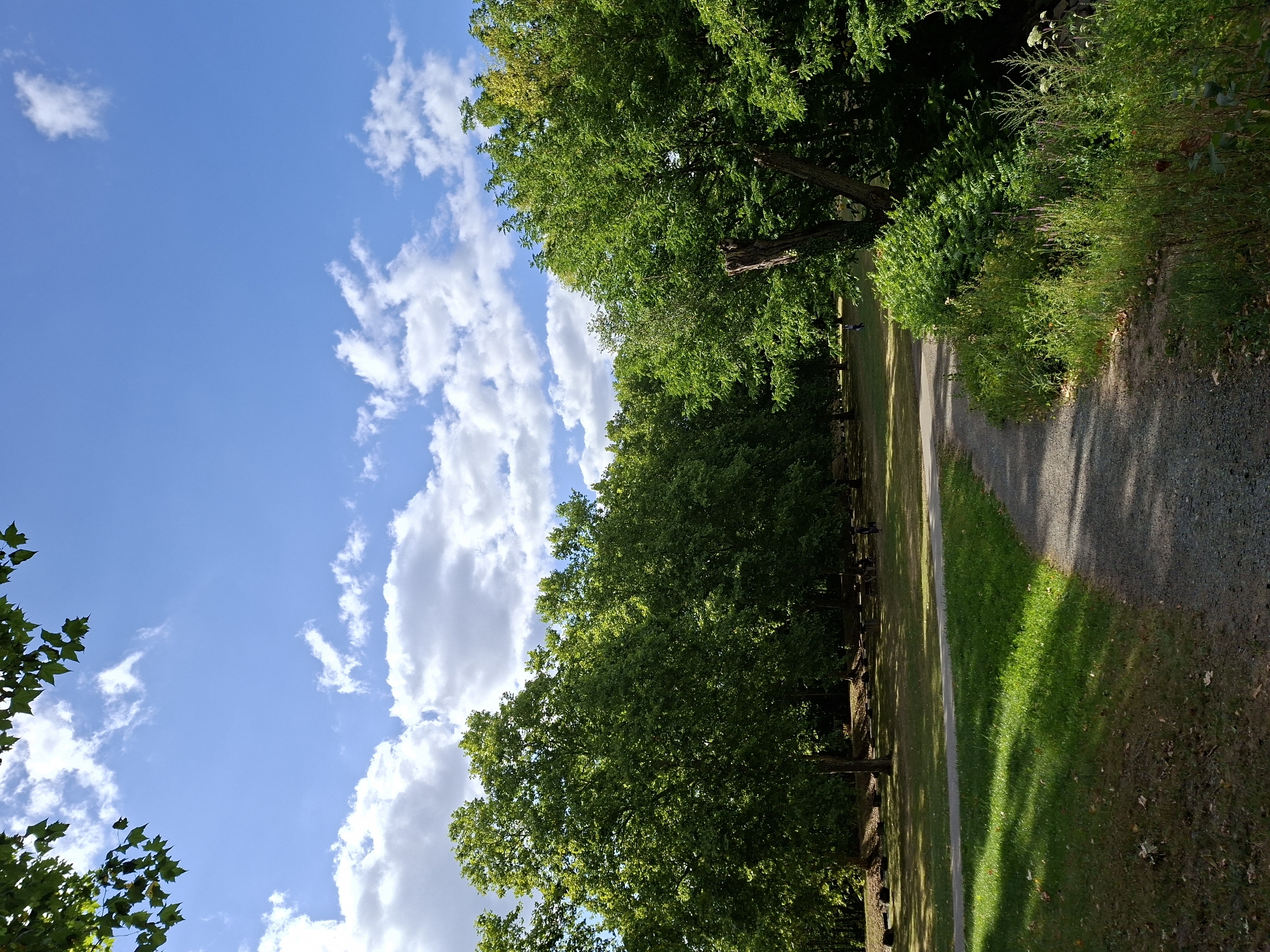 The image depicts a park scene on a sunny day with scattered white clouds in a bright blue sky. In the foreground, a gravel path curves from the bottom right towards the left, bordered by lush green grass and wild vegetation. Further into the park, a paved path runs through a sun-dappled lawn dotted with trees. In the background, a dense line of large, leafy green trees creates a natural border. Several picnic tables and benches are visible beneath the trees, with a few individuals scattered throughout the park, suggesting a recreational area. The overall impression is one of a well-maintained public park on a pleasant day. This scene is consistent with a location in Wiesbaden, Germany, such as the Neroberg park, known for its expansive green spaces and recreational amenities.