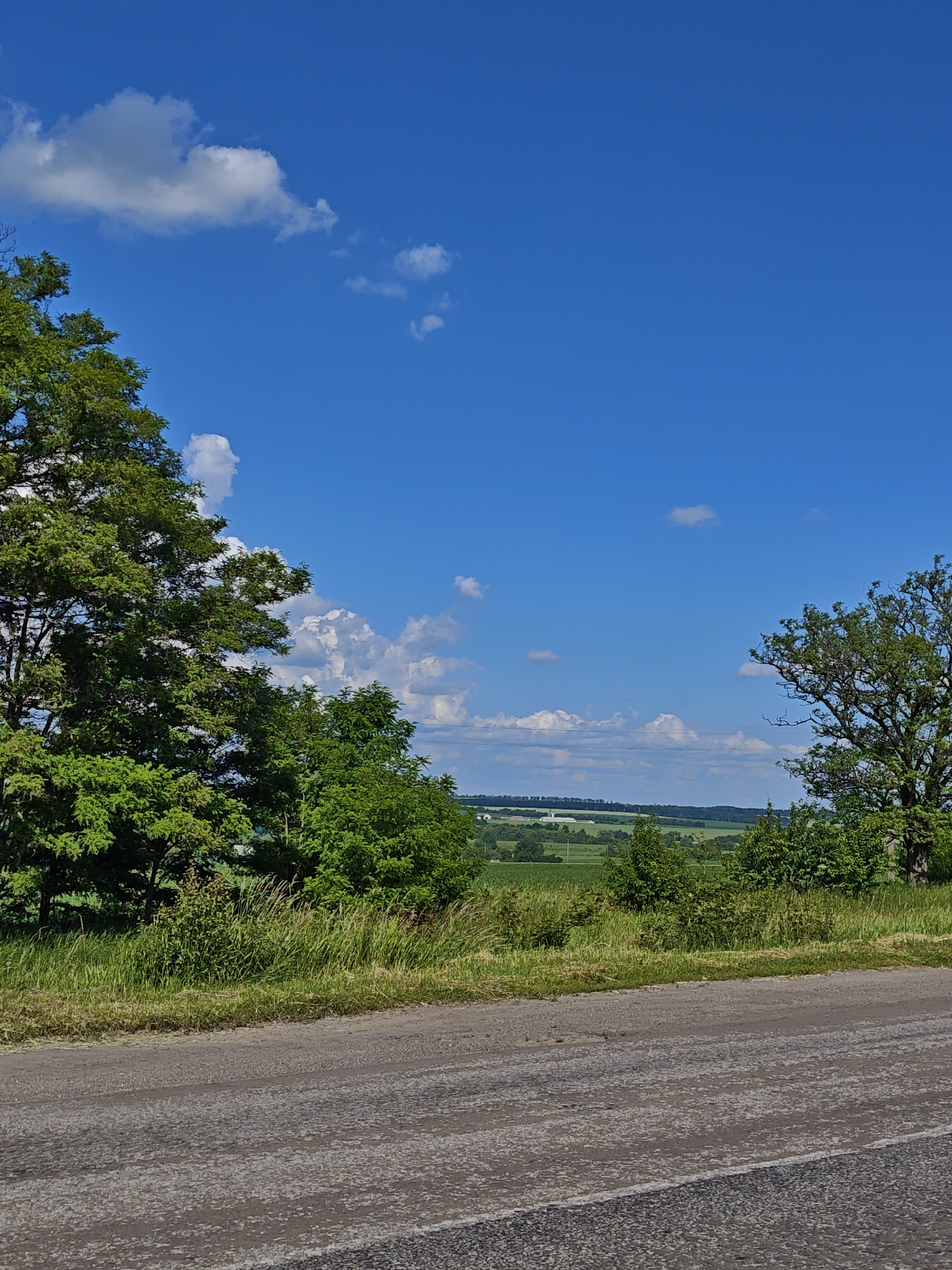 The image depicts a scenic rural landscape on a bright, sunny day. In the foreground, a worn asphalt road is visible, with patches of gravel and white markings indicating its surface. Beyond the road, a vibrant green grassy verge transitions into rolling hills dotted with trees and agricultural fields. The distant horizon is a patchwork of green fields and some structures, possibly farm buildings, in Zhadany, Ukraine.
Lush green trees frame the scene on the left and right sides, with the tree on the left being larger and closer to the viewer. The sky above is a clear, brilliant blue, adorned with scattered white cumulus clouds. The lighting suggests it is midday or early afternoon. The overall impression is one of natural beauty and tranquility, with no people or specific activities evident. The image captures a serene moment in a rural Ukrainian setting, characterized by the vivid colors of nature under a bright sky.