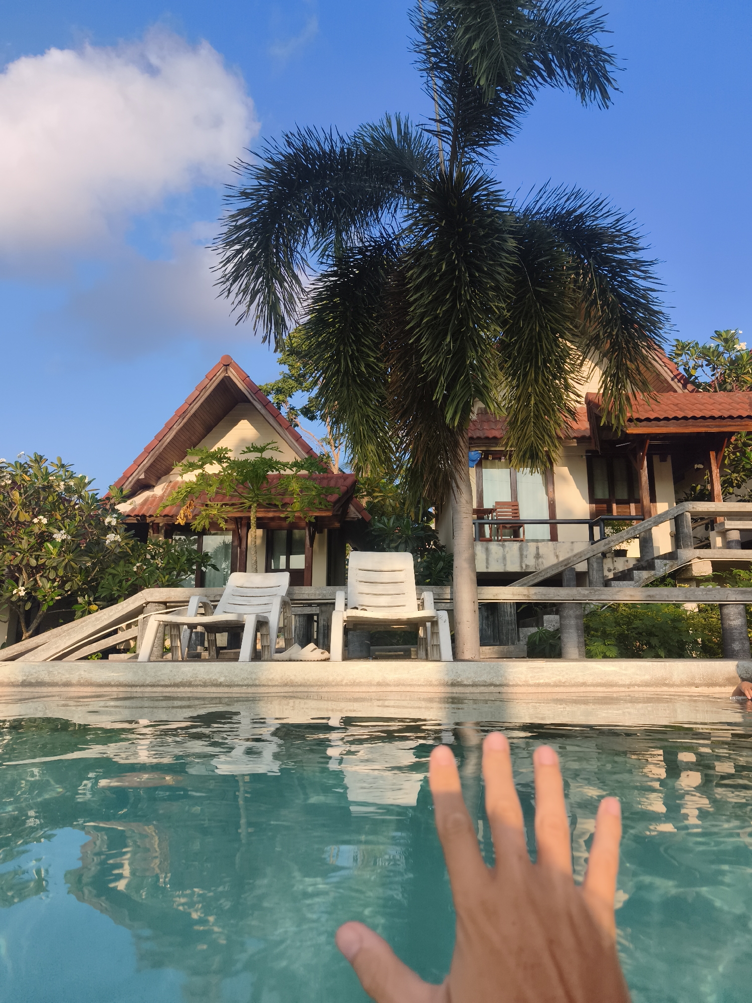 The image captures a first-person view from a swimming pool at what appears to be a tropical resort, likely in บ้านบางรักษ์, Thailand. In the immediate foreground, a person's hand is partially submerged in the clear, turquoise water of the pool, reaching out towards the viewer. The water reflects the blue sky and the surrounding structures.
Beyond the pool, two traditional-style bungalows or resort rooms are visible, featuring distinctive orange-tiled, steeply pitched roofs and light-colored walls. These buildings are nestled amidst lush tropical vegetation, including prominent palm trees with dense, dark green fronds that frame the scene. The building on the right has a balcony with a wooden chair and a staircase leading up to it, while the one on the left is partially obscured by foliage but also appears to have an elevated entrance. White plastic lounge chairs are placed on a concrete platform between the pool and the buildings, suggesting an area for sunbathing or relaxation.
The sky above is a bright, clear blue with a few scattered white clouds. The lighting is warm and golden, characteristic of either early morning or late afternoon, creating soft shadows and highlighting the architectural details and the greenery. The overall scene conveys a tranquil, vacation-like atmosphere. There is no visible text in the image.