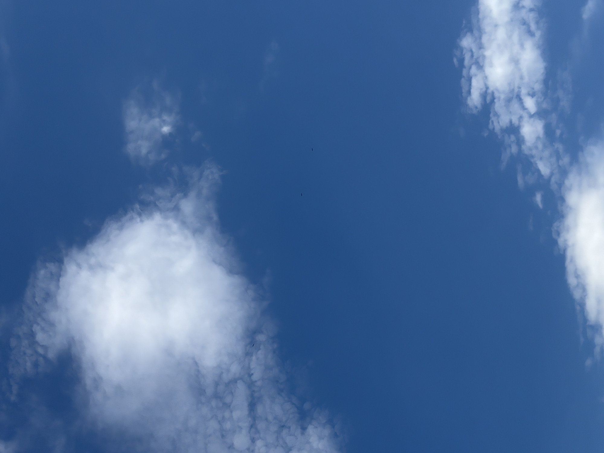 This media file displays a wide, unobstructed view of a bright blue sky, indicative of a clear day. Scattered across the sky are several white clouds of varying sizes and densities. A large, fluffy cloud dominates the lower left quadrant of the image, while other smaller, wispy clouds are dispersed throughout the frame. Two dark, elongated shapes, likely birds in flight, are visible as small specks against the blue expanse in the upper middle section of the image. The overall impression is one of serene, open space, suggesting an outdoor setting. Given the location context of Kamianka-Buzka, Ukraine, this image likely captures a typical daytime scene in that region. There are no visible people, objects, or text within the frame. The lighting and cloud formations suggest it is likely midday.