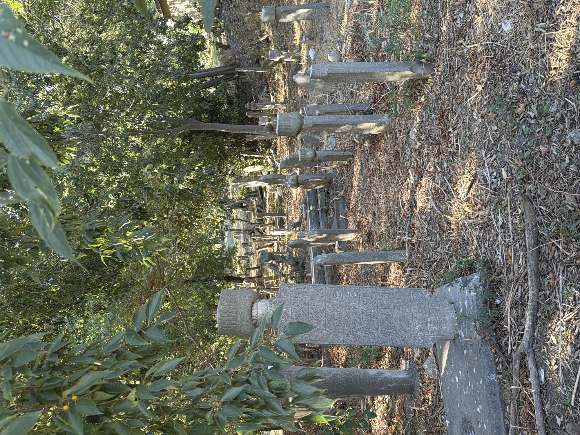 The image depicts a cemetery with numerous gravestones of varying sizes and shapes, primarily made of stone. The gravestones are weathered and some appear to have inscriptions. The ground is covered with dry leaves, twigs, and sparse vegetation. Trees with green foliage are present throughout the cemetery, casting shadows on the ground and gravestones. The scene suggests an outdoor, possibly historical, burial site. The lighting indicates it is daytime, with sunlight filtering through the trees.
This cemetery is likely the Karacaahmet Cemetery (Karacaahmet Mezarlığı), which is one of the oldest and largest cemeteries in Istanbul, located in the Üsküdar district, which is across the Bosphorus from Kadıköy. While not directly in Kadıköy, it is a prominent and historically significant cemetery in the Asian part of Istanbul, often associated with the broader Istanbul metropolitan area where Kadıköy is located. Without further context or specific identifying markers, pinpointing the exact location within Kadıköy itself is not possible based solely on the visual information.