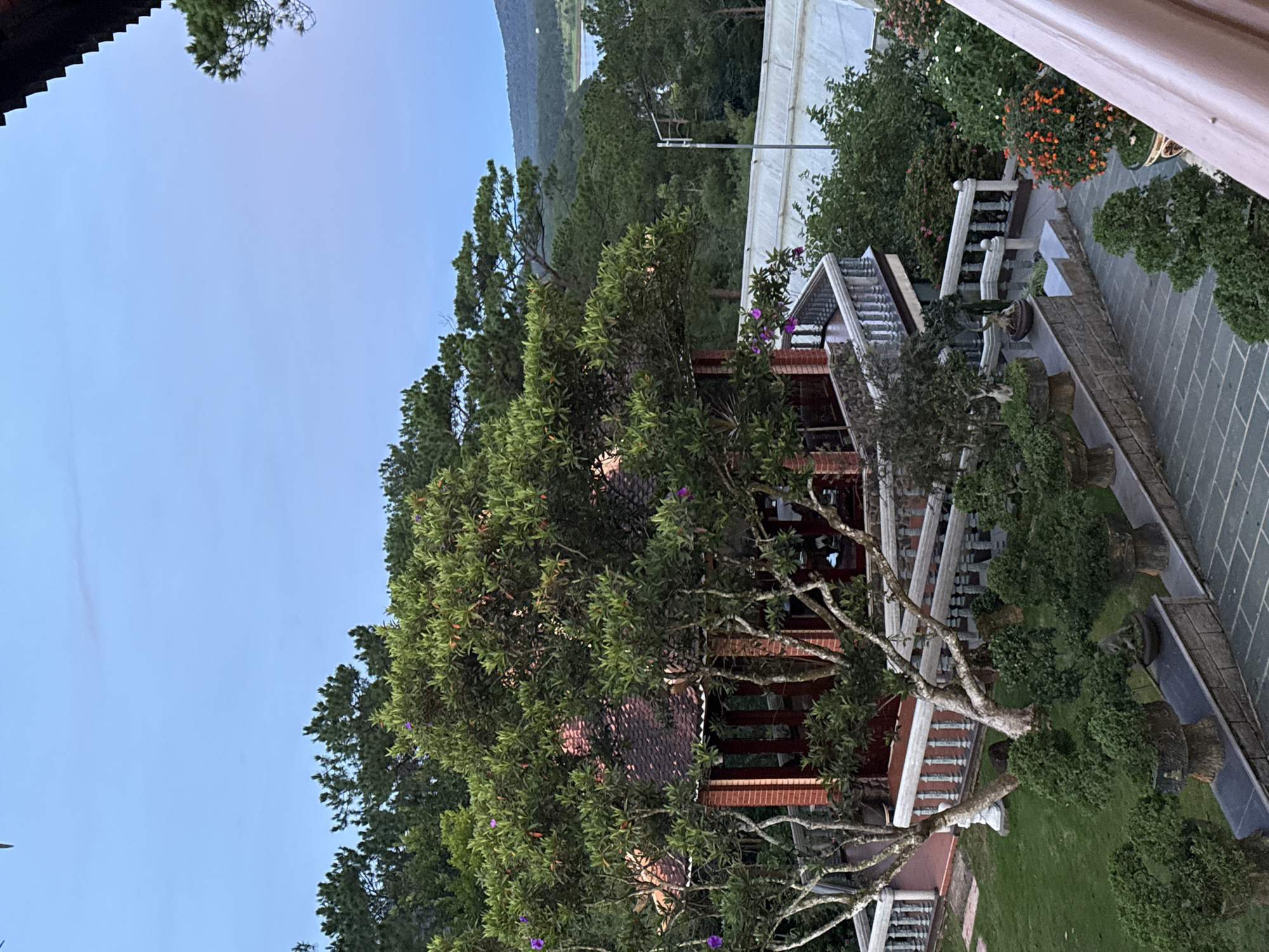 The image depicts an outdoor scene at dusk, likely in Da Lat, Vietnam, known for its pine forests and cooler climate. The foreground features a paved walkway and a meticulously landscaped garden with numerous potted bonsai trees. A multi-tiered structure, possibly part of a resort or a traditional building with a red tiled roof and brick walls, is visible in the mid-ground. This structure is surrounded by lush green trees, some of which are flowering with small purple blossoms. Beyond the immediate garden and building, a dense pine forest stretches towards a distant body of water, possibly a lake or reservoir, which is bordered by rolling hills. The sky is a soft, muted blue, characteristic of twilight. There are no people visible in the image. The scene conveys a sense of tranquility and natural beauty.