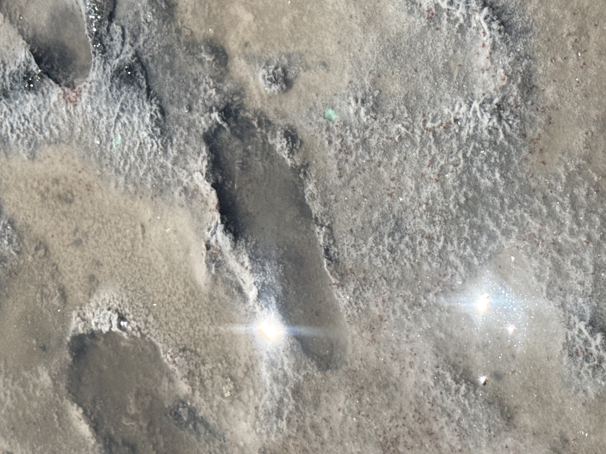 The image depicts a close-up view of shallow puddles and textured ground, likely mud or sand with mineral deposits. The environment is a terrestrial landscape with a mix of wet and dry patches. There are no people or animals visible. The scene appears to be outdoors, possibly in a natural or industrial setting. The lighting suggests it is daytime, with bright reflections visible on the water surfaces, indicating sunlight. The colors are muted, dominated by shades of brown, gray, and white, with some reddish-brown specks scattered across the ground. The texture of the ground is uneven, with raised areas and depressions that form the puddles. There is no identifiable location in the city of Bursol', Russia, nor any specific objects or activities that would suggest such a location.