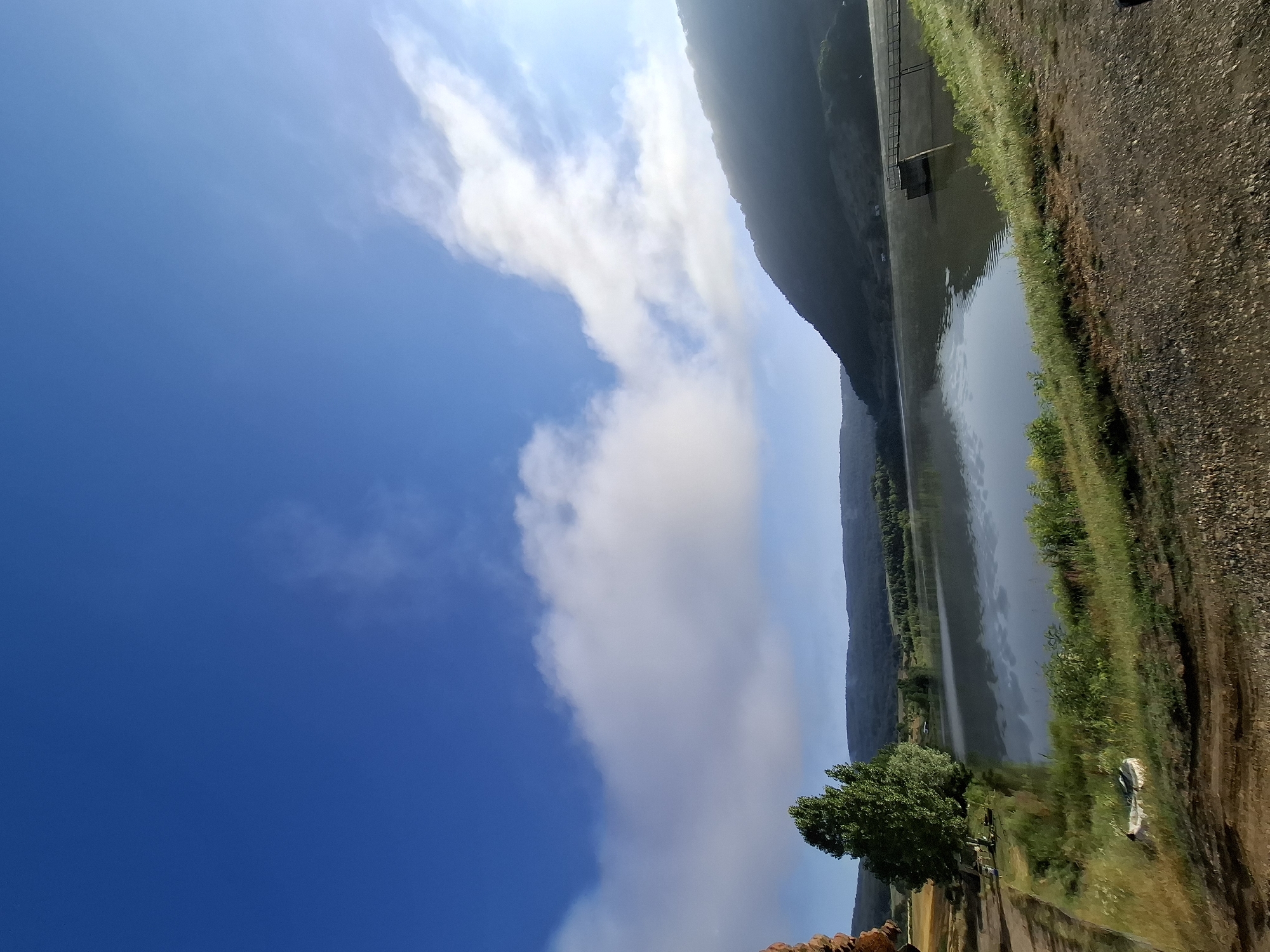 The image captures a serene landscape with a body of water, likely a reservoir, in Yankovo, Bulgaria. The sky is a vibrant blue, with scattered white clouds, some of which are wispy and stretched across the horizon. A gentle slope covered in green grass and vegetation leads down to the water's edge. In the distance, rolling hills, densely covered with trees, form a natural backdrop. On the right side of the reservoir, a concrete structure with a walkway or bridge extends into the water, possibly a dam or a fishing pier. The water's surface is calm, reflecting the sky and surrounding landscape. On the left side of the image, a large, lush green tree stands prominently, with fields and more trees visible behind it. A dirt path runs along the foreground, with loose gravel and some dry vegetation. The overall impression is one of natural beauty and tranquility. There are no people visible in the image.