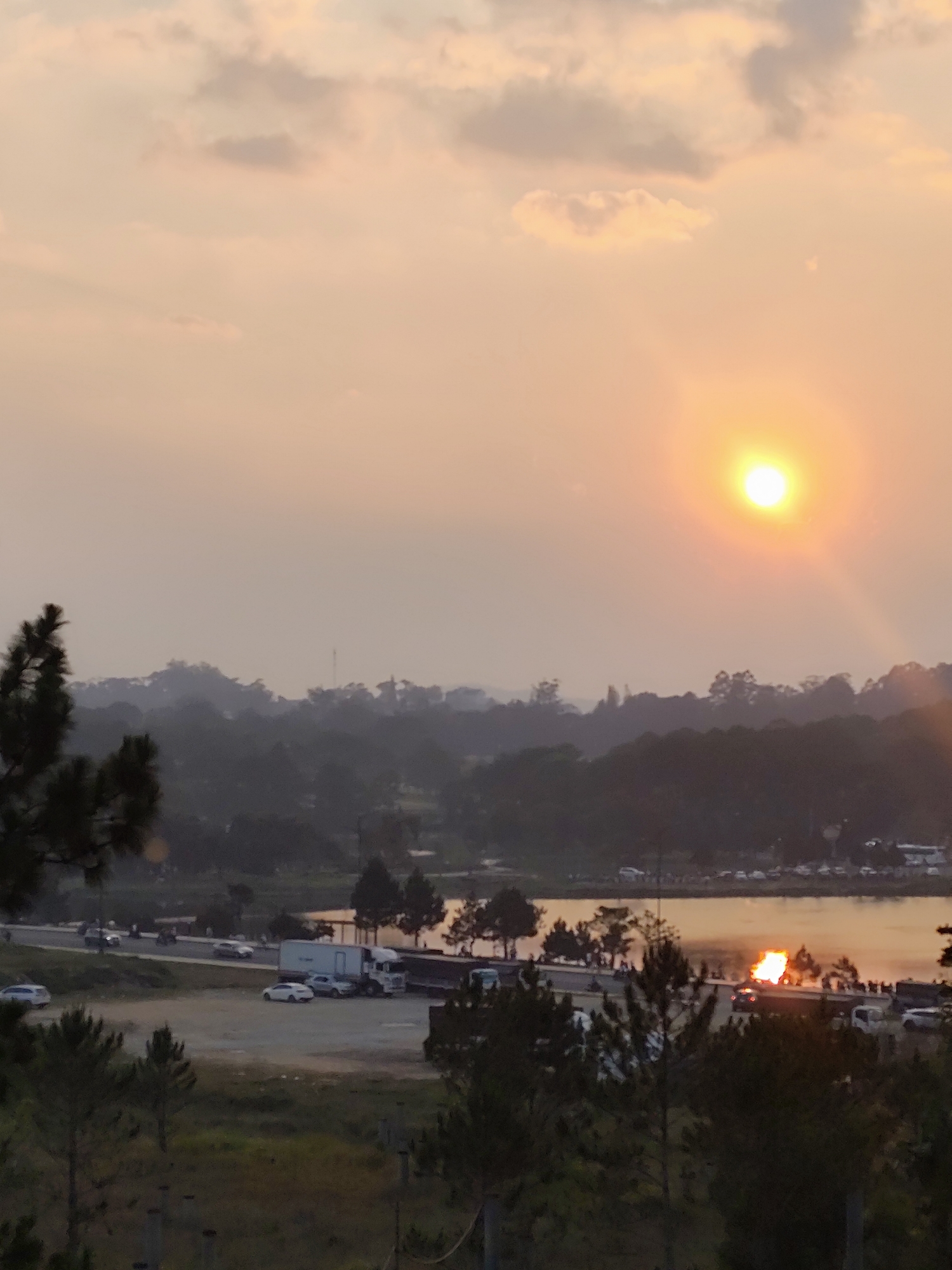The image depicts a sunset over Tuyen Lam Lake in Da Lat, Vietnam. The bright, yellow-orange sun is visible in the upper right portion of a hazy, orange-yellow sky containing scattered clouds. Its light reflects as a prominent, elongated orange glow on the surface of Tuyen Lam Lake, which occupies the midground right and extends into the background. A paved road, likely a provincial route, runs along the lake's edge, curving from the mid-left towards the right.
Vehicles are present on and adjacent to this road: multiple cars, including several white sedans or hatchbacks, and a white semi-truck with a trailer. Faint silhouettes of individuals, identified as people, are visible near the road and the lake's edge, particularly on the right where they appear to be observing the sunset. The background consists of several layers of dark green, densely forested hills, characteristic of pine trees, fading into the atmospheric haze. The foreground is framed by the dark, out-of-focus silhouettes of pine branches and trunks on the left and lower right, with some undeveloped terrain visible in the lower left. The scene is illuminated by the low-angle light of the setting sun.