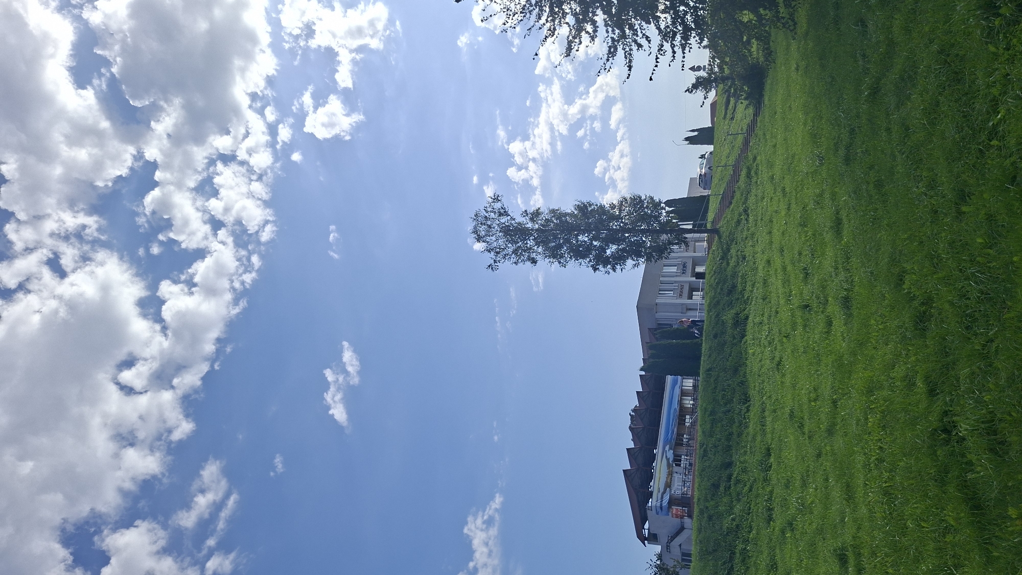 The image depicts a bright, daytime scene with a clear blue sky dotted with fluffy white clouds. In the foreground, a lush green grassy slope leads up towards a series of buildings. The buildings appear to be a mix of modern and somewhat older architecture. On the left, a long, low building with a distinctive sloped roof and what appears to be an outdoor seating area is visible. Further to the right, a multi-story building with a neutral facade and several windows is present. Several evergreen trees are planted around the buildings, and a tall, slender deciduous tree stands prominently in the middle ground. A set of outdoor stairs ascends the grassy slope towards the buildings. A car is parked near the top of the stairs. The overall impression is one of a pleasant, open area, possibly a park or a recreational space within a town or city. The location is identified as being in the city of Myadzyel, Belarus.