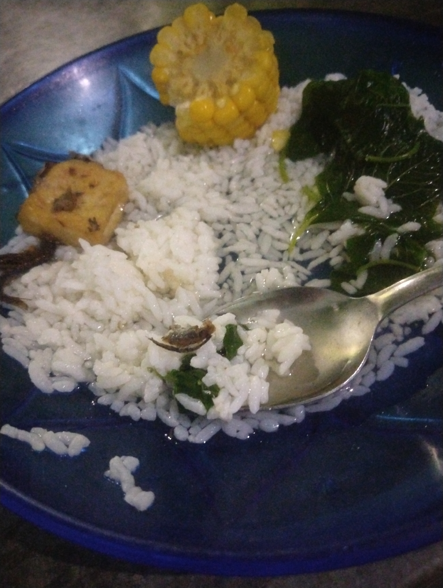 A close-up shot shows a blue plate filled with rice, corn on the cob, a piece of fried tofu, and some leafy green vegetables. A silver spoon rests on the rice, with a small dried fish on its edge. The setting appears to be a simple meal, potentially prepared at home in Wanasaba Daya, Indonesia. The lighting is dim, casting shadows across the plate.