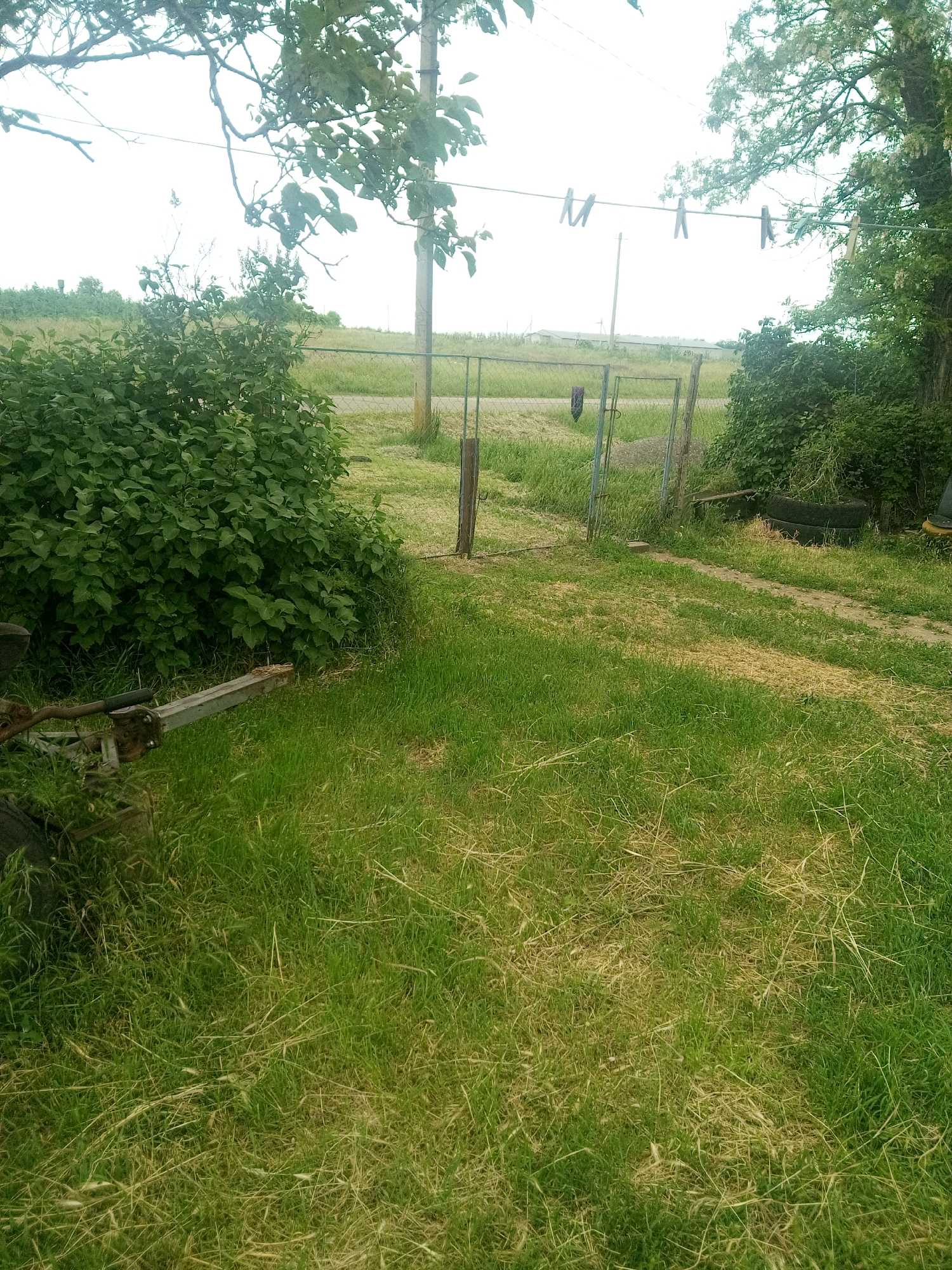 An outdoor scene in the city of Zelenyi Hai, Ukraine, depicts a rural or semi-rural landscape under an overcast sky. The foreground is dominated by unkempt green grass, interspersed with patches of drier, lighter-colored vegetation. In the lower left quadrant, a portion of rusted metallic farm equipment, resembling a trailer hitch, is partially visible. A dense, verdant bush occupies the middle left, adjacent to a simple metal gate with vertical bars. The gate appears open, leading to a dirt or gravel path that recedes into the background.
To the right of the gate, another pathway, primarily dirt with some grass, leads towards a stack of two black tires and additional foliage. In the upper half of the image, a taut wire or clothesline stretches horizontally, holding four empty wooden clothespins. Tree branches with green leaves overhang from the upper left, while a large tree with white blossoms occupies the upper right. In the distant background, beyond fields, several low-lying, light-colored buildings are discernible, along with a tall, slender structure, possibly a water tower, on the far left horizon. No individuals or animals are present.