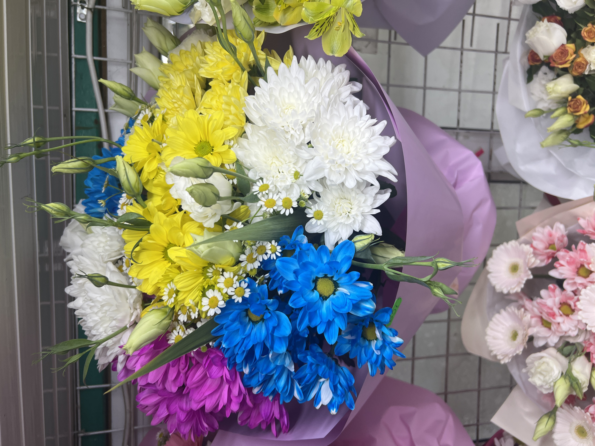 The image depicts a close-up view of vibrant flower bouquets arranged in what appears to be a flower shop. The main bouquet in focus is a large, colorful arrangement featuring a variety of chrysanthemum flowers in shades of purple, yellow, bright blue, and white. Smaller white daisy-like flowers are interspersed throughout the bouquet. Several green buds and stems are also visible. The bouquets are wrapped in decorative paper, with the main bouquet in a lavender-colored paper. Below the primary bouquet, partially visible, are other bouquets with lighter colored flowers, including pink and white varieties. The background consists of a metal grid structure, characteristic of shelving in a retail environment. The lighting suggests an indoor setting. There are no people or animals visible in the image, and no specific landmarks are identifiable to pinpoint a location within Chișinău, Moldova. The image focuses solely on the floral arrangements.