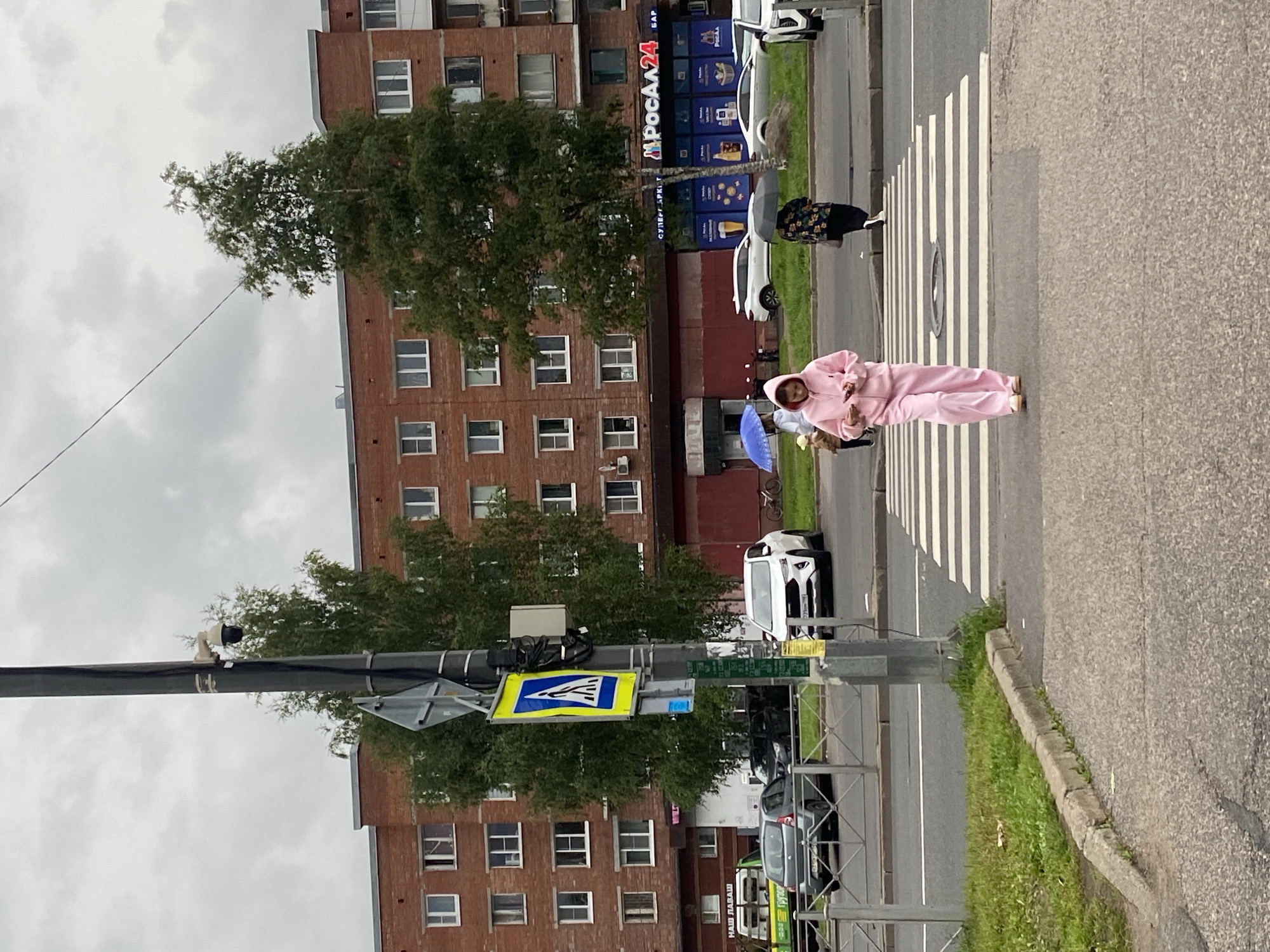 In Lomonosov, Russia, under a cloudy sky, a pedestrian crossing is depicted on an asphalt road. A young person dressed in a pink tracksuit is walking across the zebra stripes of the crossing, looking down at their phone. To the left, a person holding a blue umbrella is visible, and to the right, another person with a dark floral patterned umbrella is walking away from the camera. In the background, a multi-story brick apartment building with numerous windows stands behind a line of trees. Several cars are parked on the street in front of the building, and a traffic light pole with a pedestrian crossing sign is situated near the left edge of the image. The environment appears to be a typical urban street scene in overcast weather, likely Lomonosov, Russia.