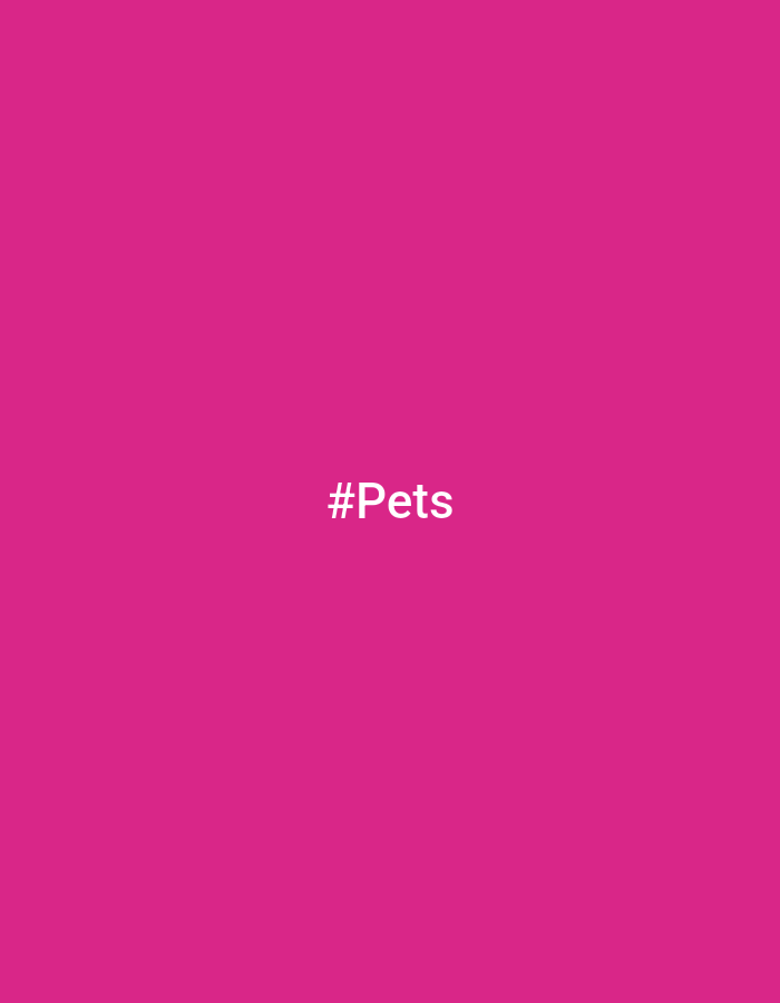 The image is a solid, vibrant pink background. Centered on the background in white text is the hashtag "#Pets". There are no other discernible objects, people, or environmental features visible in the image. The location is unknown, and there is no context provided to indicate any specific setting within a city.