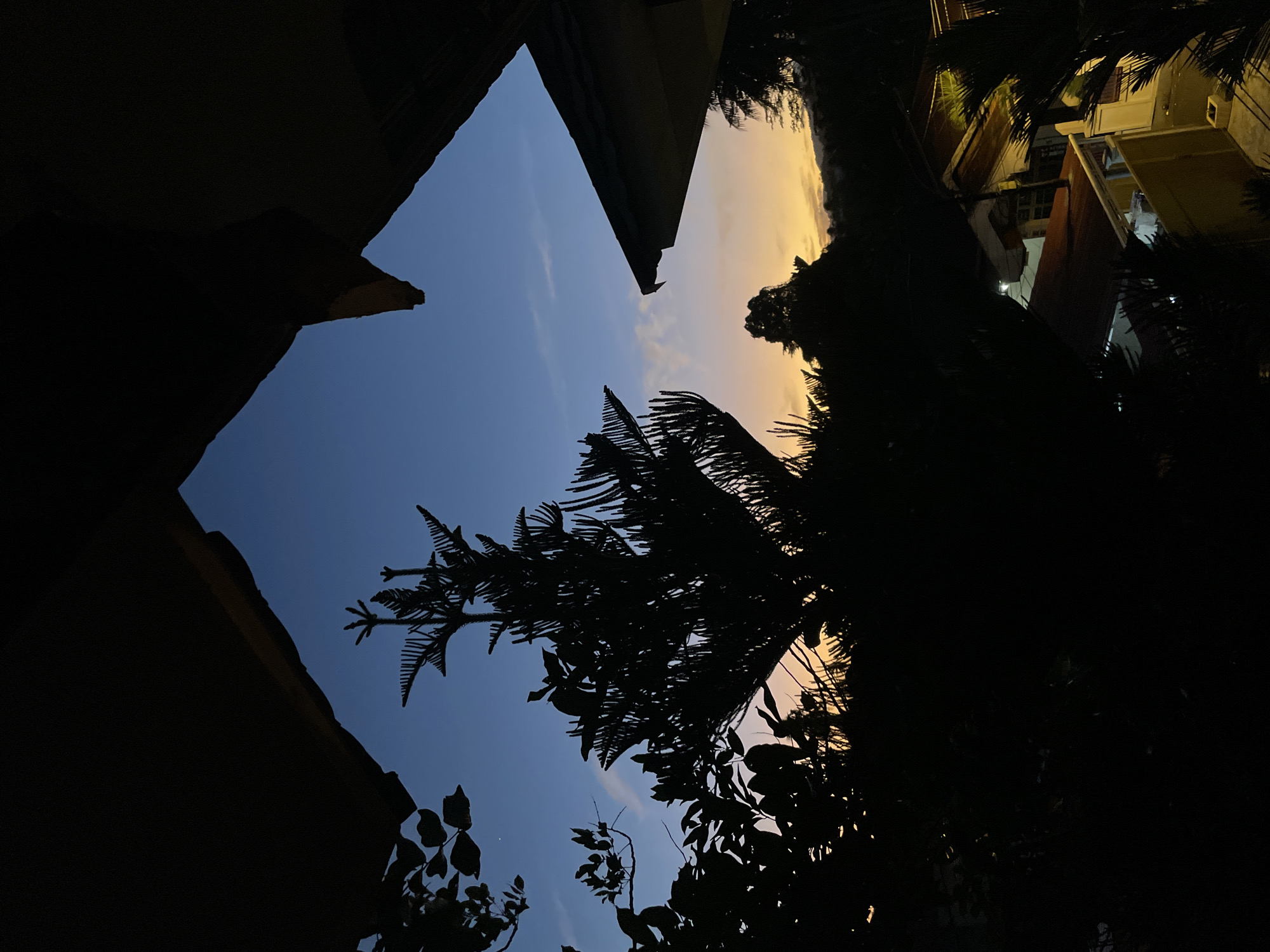 This is a nighttime photograph taken from a high vantage point, looking out over a neighborhood in Manado, Indonesia. The foreground is dominated by the dark silhouettes of foliage and parts of buildings, framing a view of the twilight sky. The sky transitions from a deep blue at the top to shades of orange and yellow near the horizon, suggesting the last moments of sunset or the first hint of dawn. Silhouetted trees are scattered across the landscape, with a prominent, spiky tree in the center of the frame. Below the trees, houses with illuminated windows and red-tiled roofs are visible, indicating a residential area. The overall impression is one of quietude and the transition between day and night in an urban setting.