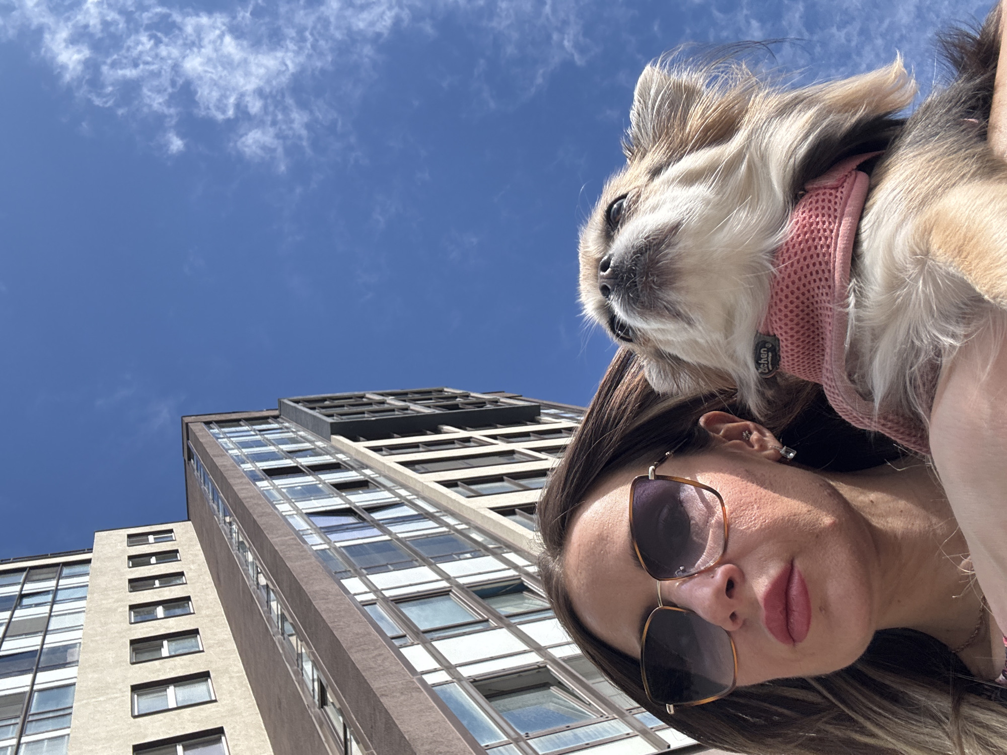 This is a close-up, low-angle shot of a woman holding a small dog against a backdrop of a modern building and a bright blue sky with scattered white clouds. The woman, viewed from the chest up, is wearing large, square sunglasses with a tortoiseshell frame and a pink or coral colored lipstick. She has long, blonde-streaked brown hair that falls over her shoulders. A small, long-haired dog with light brown and white fur is nestled in her arms, looking upwards. The dog is wearing a pink mesh harness. The building behind them is tall and contemporary, featuring many glass windows and a light-colored facade. The perspective suggests the photo was taken on a sunny day in an urban environment, possibly in the city of Saint Petersburg, Russia, given the architectural style.