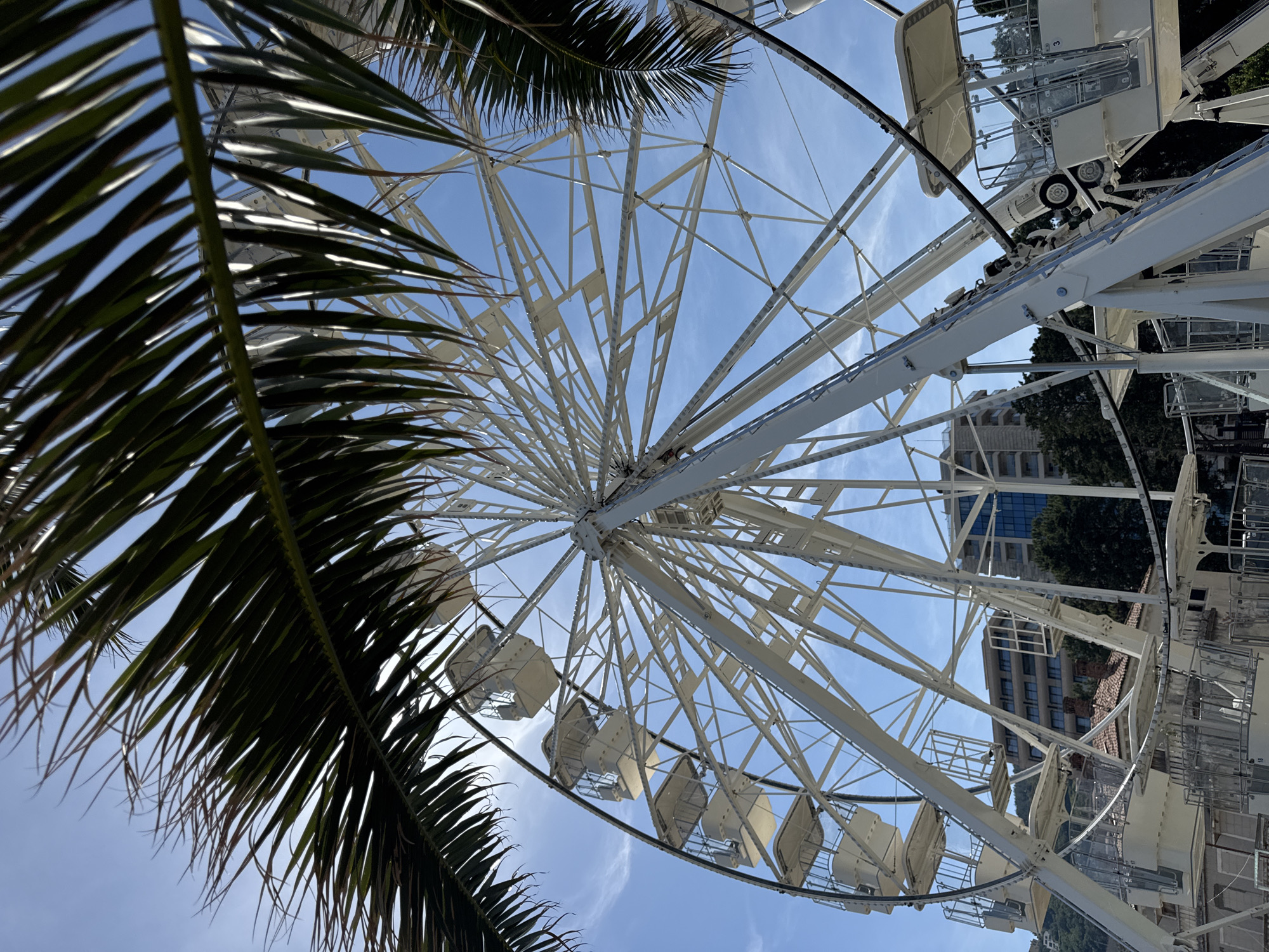 The image captures an upward view of a white Ferris wheel against a blue sky with wispy clouds, partially obscured by palm tree leaves. The Ferris wheel's structure is prominent, with visible passenger cars. In the background, buildings and trees can be seen, suggesting an urban or semi-urban location. The location is Budva, Montenegro.