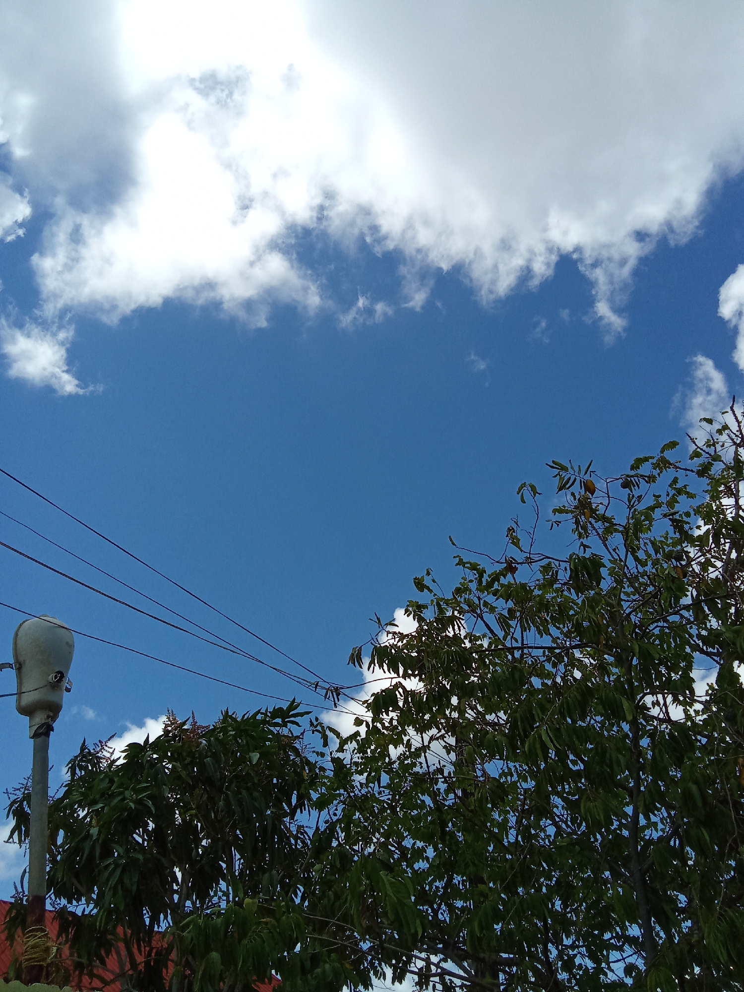 The image shows a partly cloudy sky with a prominent layer of white clouds at the top. Below the clouds is a clear, blue sky. In the lower portion of the frame, there are treetops with green foliage. A gray street light is also visible, with power lines extending across the sky. At the very bottom, there is a glimpse of a red rooftop. The location is Juan Griego, Venezuela.