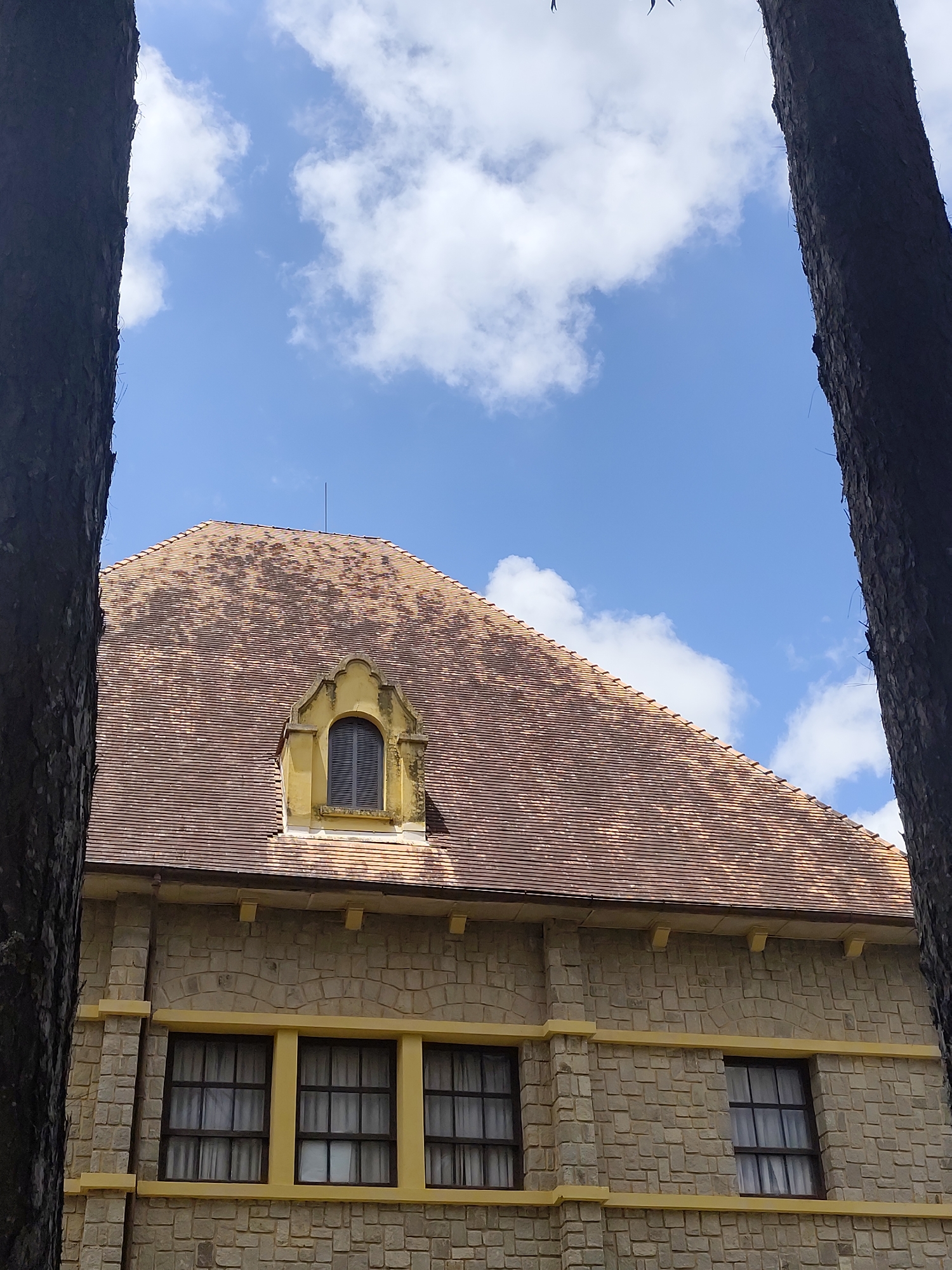 This is a medium shot, outdoor photograph taken on a sunny day in Phường Xuân Hương, Đà Lạt, Vietnam. The image frames a portion of a building with a tiled roof, seen between the trunks of two trees. The building's exterior is constructed of light-colored stone blocks. A prominent feature is a large, steeply pitched roof covered with reddish-brown tiles. A dormer window with a curved top, framed by yellow trim, is visible on the roof. Below the roofline, a series of rectangular windows with dark frames are set into the stone wall. Yellow trim accents the building at the window level and also runs vertically along the corners. The sky above is blue with scattered white clouds. The trees flanking the building appear to be pine trees, with rough, dark bark. The overall impression is of an older, European-style building nestled within a natural setting.
