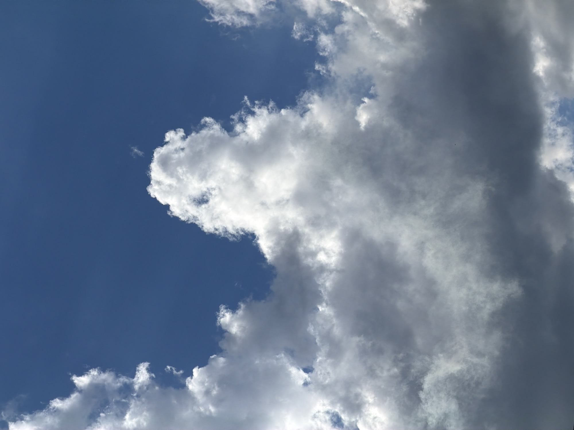 The image shows a sky with a mix of blue sky and clouds. The clouds are dense and white in some areas, appearing illuminated by sunlight, while in other areas they are darker and more ominous, suggesting potential rain or storm clouds. The overall scene is dominated by the sky and clouds, with no visible ground or landscape features. The lighting suggests it is daytime, and the cloud formations indicate it may be a partly cloudy or overcast day with changing weather conditions. There is a very small, dark speck, possibly a bird or a distant aircraft, in the middle of the darker cloud mass. No people, objects, text, or specific location cues are visible to suggest a particular event or emotion, other than the natural beauty and dynamism of the sky.