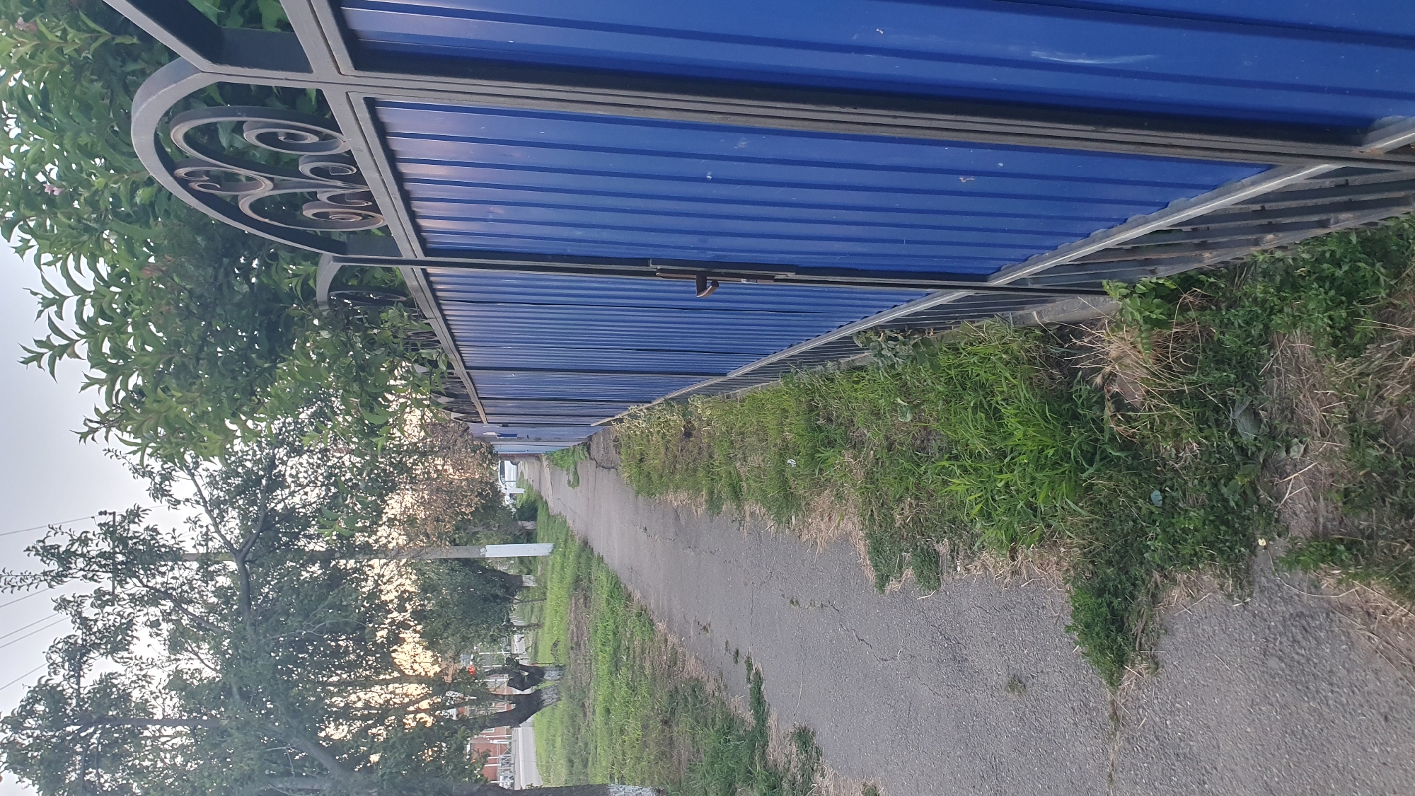 The image depicts a sidewalk and a blue metal fence bordering a grassy area. Trees are visible in the background on the left side of the image, and the sky is overcast. The fence has decorative wrought iron elements at the top. A handle is visible on the fence, suggesting a gate or entrance. The sidewalk is made of asphalt and appears to be cracked in places. The grass is uneven and appears somewhat unkempt, with some dry stalks mixed with green blades. The overall setting suggests a residential or semi-urban environment. The time of day appears to be late afternoon or early evening, given the quality of light. The location is identified as Ust-Labinsk, Russia.