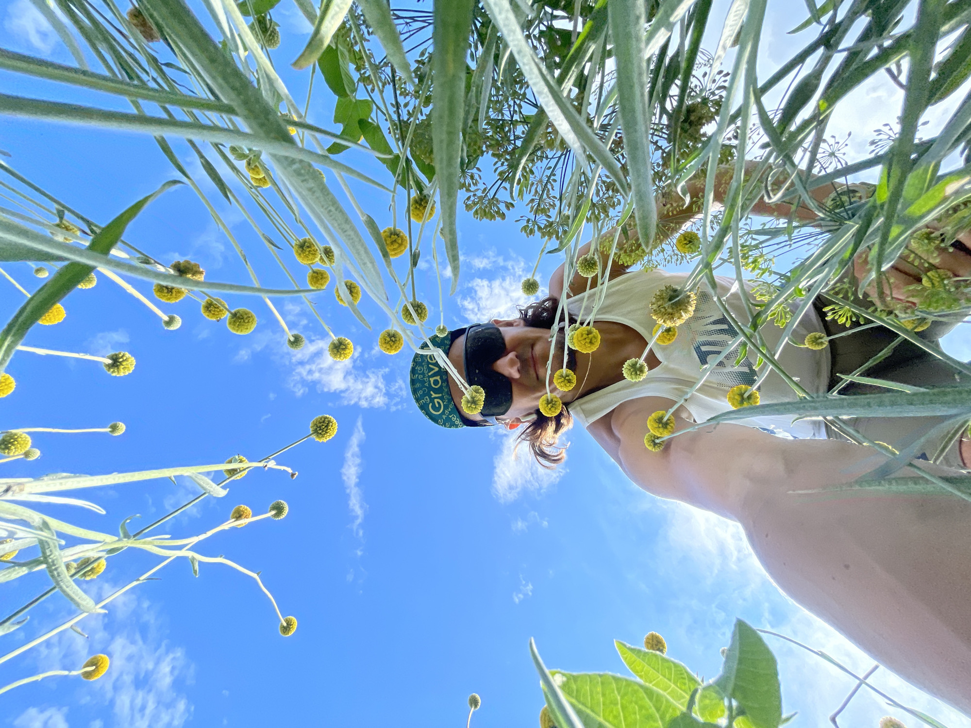 A low-angle, wide-shot captures a person looking down through tall, feathery, pale green plants with small yellow spherical blooms against a bright blue sky with wispy white clouds. The person, partially obscured by the foliage, is wearing a white tank top, dark sunglasses, and a green bandana with white lettering that reads "Grave." Their left arm is extended upwards and to the left, with fingers slightly curled. The perspective suggests the photo was taken from within a field of these plants, looking up towards the sky and the person. The overall impression is one of being immersed in nature on a sunny day. The location is the city of Perevoznoe, Russia.