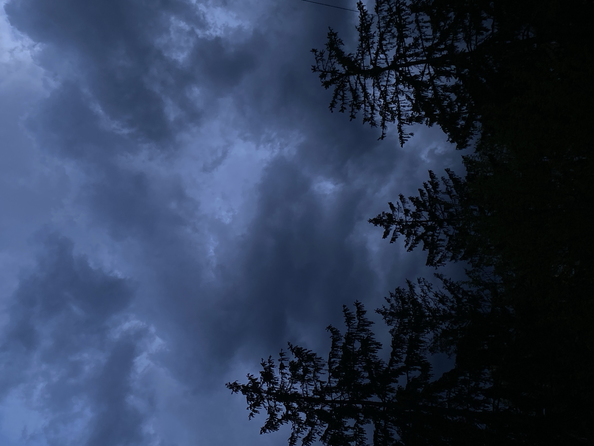 The image shows a dark and cloudy sky with the silhouettes of trees in the foreground. The location appears to be outdoors. No people are visible.
