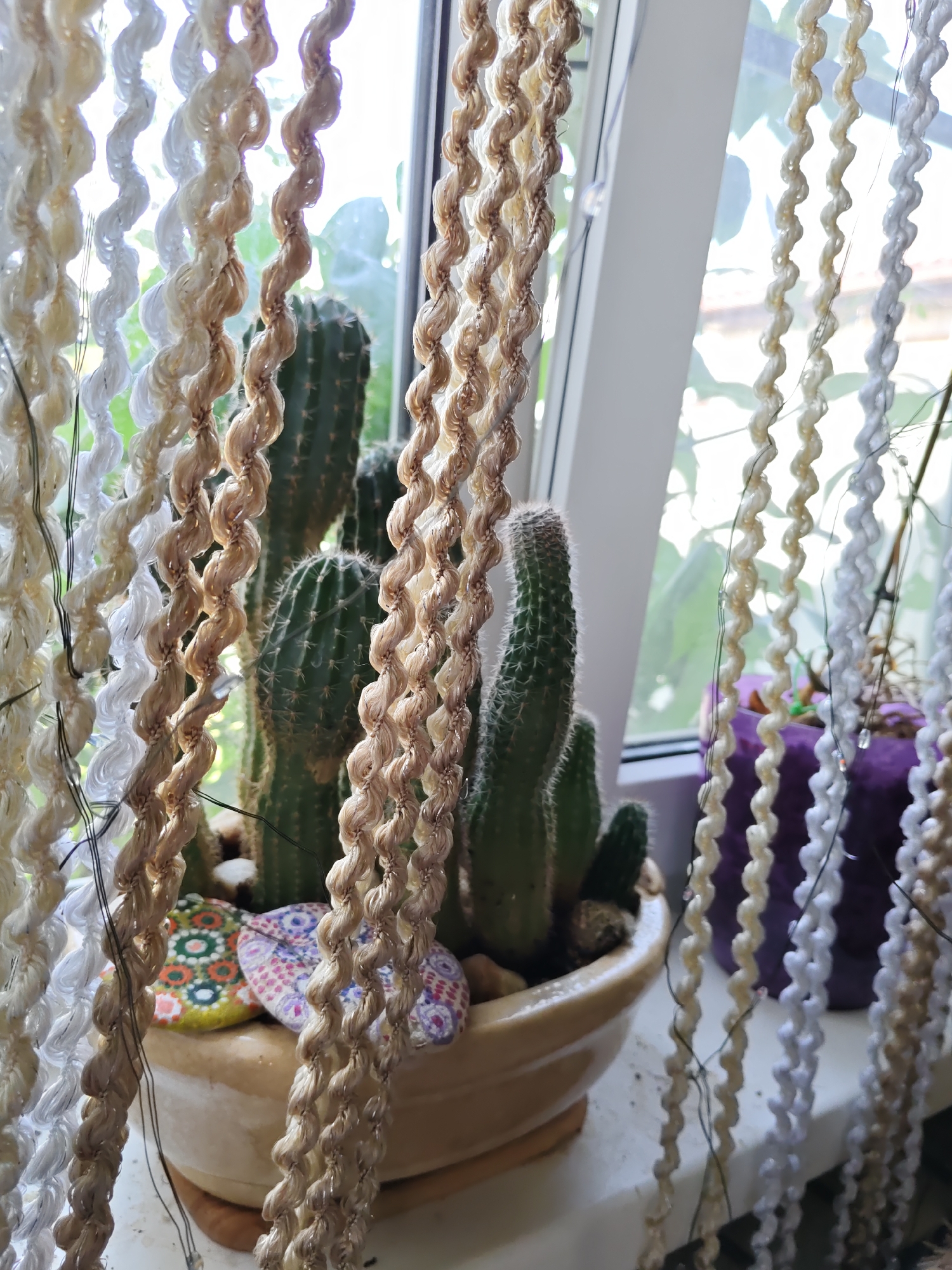 A potted cactus sits on a windowsill, partially obscured by hanging, decorative rope strands. The cactus appears to be a cluster of several plants in a light-colored, oval pot, adorned with two circular, decorative stones. Behind the cactus, a window reveals greenery outside, suggesting an outdoor environment. To the right of the cactus, a purple pot is visible, also decorated with what appear to be strands. The overall scene is indoor, with the window providing natural light. The image was captured in Rostov-on-Don, Russia.