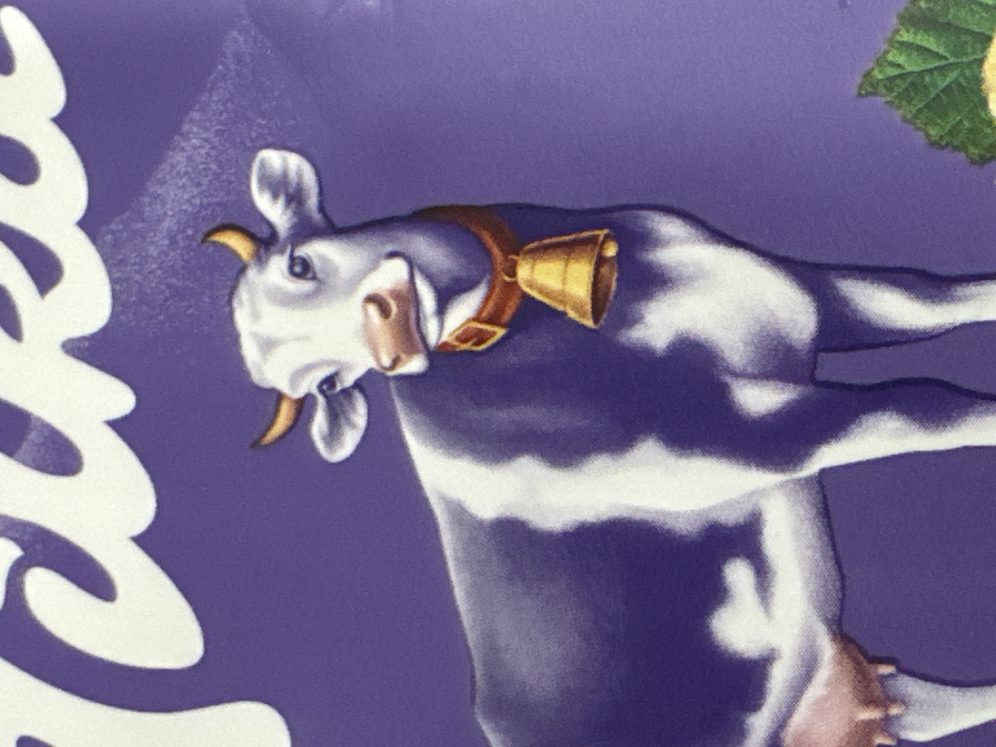 The image is a close-up of a stylized depiction of a cow with a bell around its neck, set against a purple background. White lettering is visible in the upper portion of the image. There is a green leaf and a yellow object in the lower right corner. The scene does not contain any elements that would allow for its location to be identified in Saratov, Russia, or any other city.