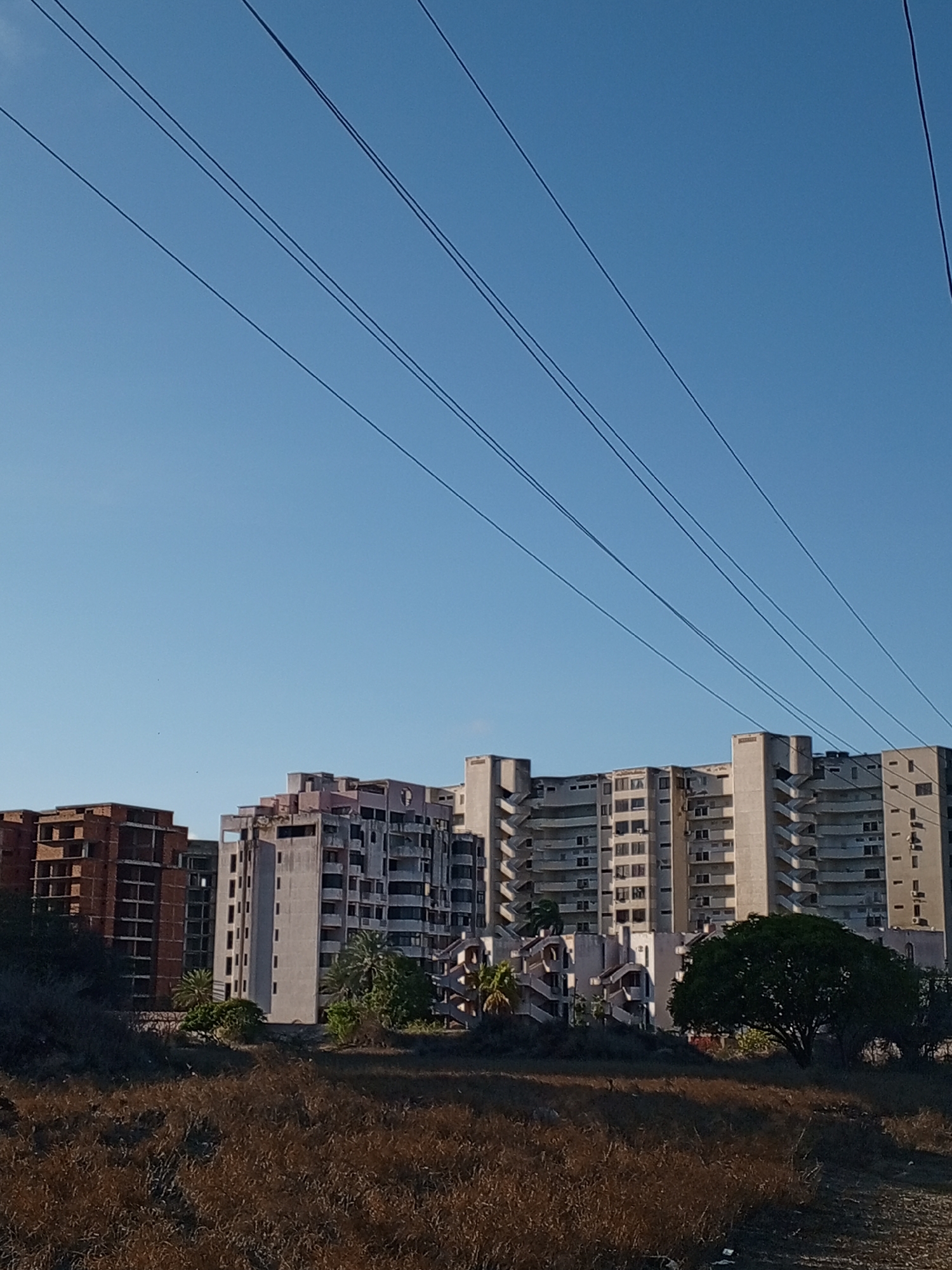 The image displays an outdoor scene featuring multiple large, multi-story buildings set against a clear, bright blue sky. The foreground is dominated by dry, brownish scrubland and low-lying vegetation.
The buildings, which appear to be apartment blocks or hotels, are in various states of completion or disrepair. The structure on the far left shows exposed red brickwork and concrete frameworks. The larger complexes in the center and right are primarily constructed from light-colored concrete, characterized by numerous balconies and distinctive external stairwells that ascend their facades. Their unfinished or abandoned appearance suggests stalled construction or disuse. Several palm trees and a larger, dense green tree are visible amongst and in front of the buildings, providing intermittent patches of greenery.
Stretching diagonally across the upper portion of the sky are multiple dark, thin lines, likely utility or power cables.
The bright, even lighting indicates it is daytime, possibly morning or late afternoon, under clear and sunny weather conditions with no clouds visible. The architectural style, combined with the presence of palm trees, aligns with the provided context of Porlamar, Venezuela, suggesting a warm climate. The overall impression is one of an urban or semi-urban landscape with significant but possibly abandoned or unfinished development. There are no people or discernible activities taking place, and no visible text is present in the image.