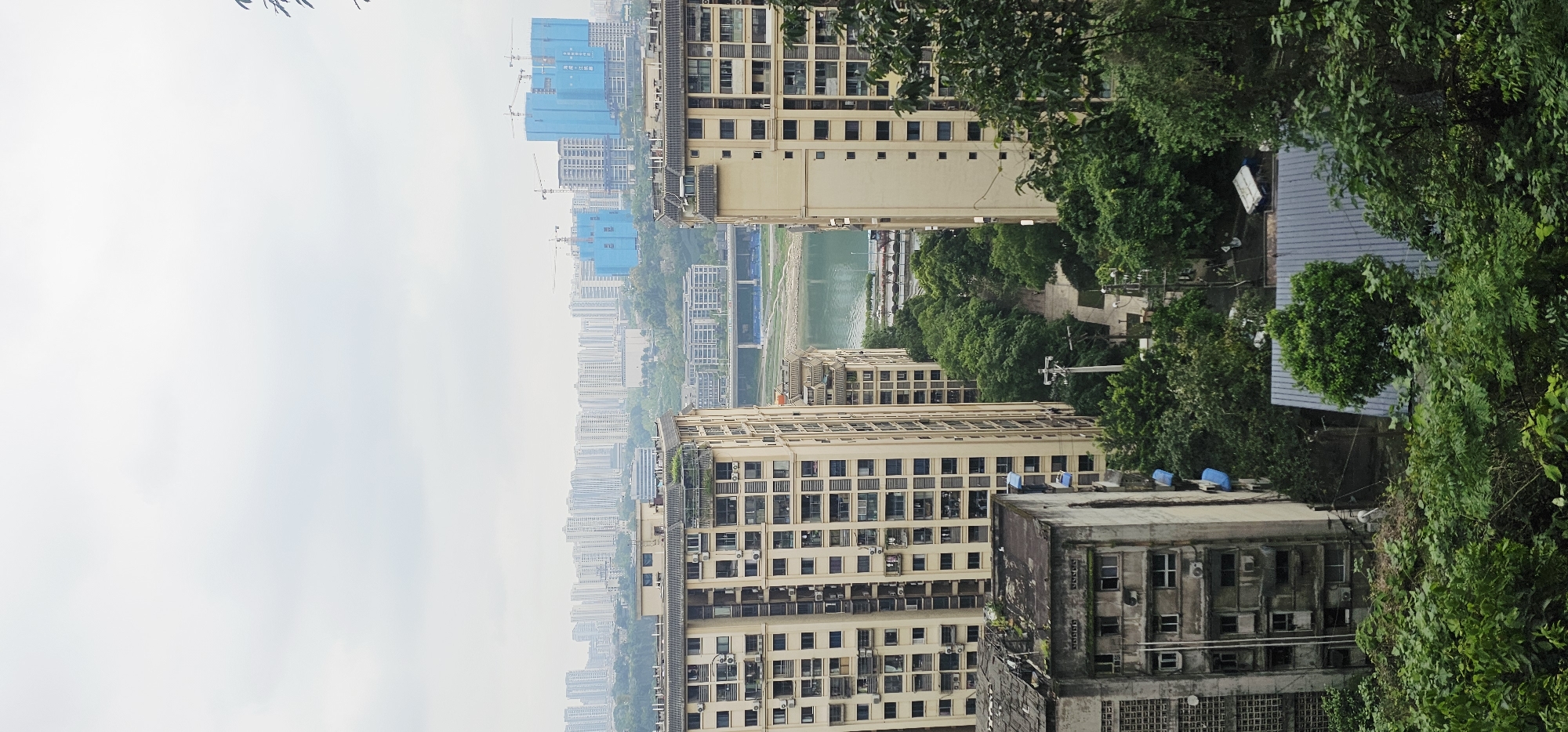 The image presents an elevated view of a cityscape in Shapingba District, China. The sky is overcast, with tall buildings dominating the landscape. Two large residential buildings with numerous windows are prominently featured in the foreground. In the background, there is a river with a bridge, surrounded by more buildings under construction, some covered in blue sheeting. Dense green foliage partially obscures the view on the right side of the image. An older, worn-looking building is visible in the lower right corner, contrasting with the newer construction in the background. There are no people visible in the frame.
