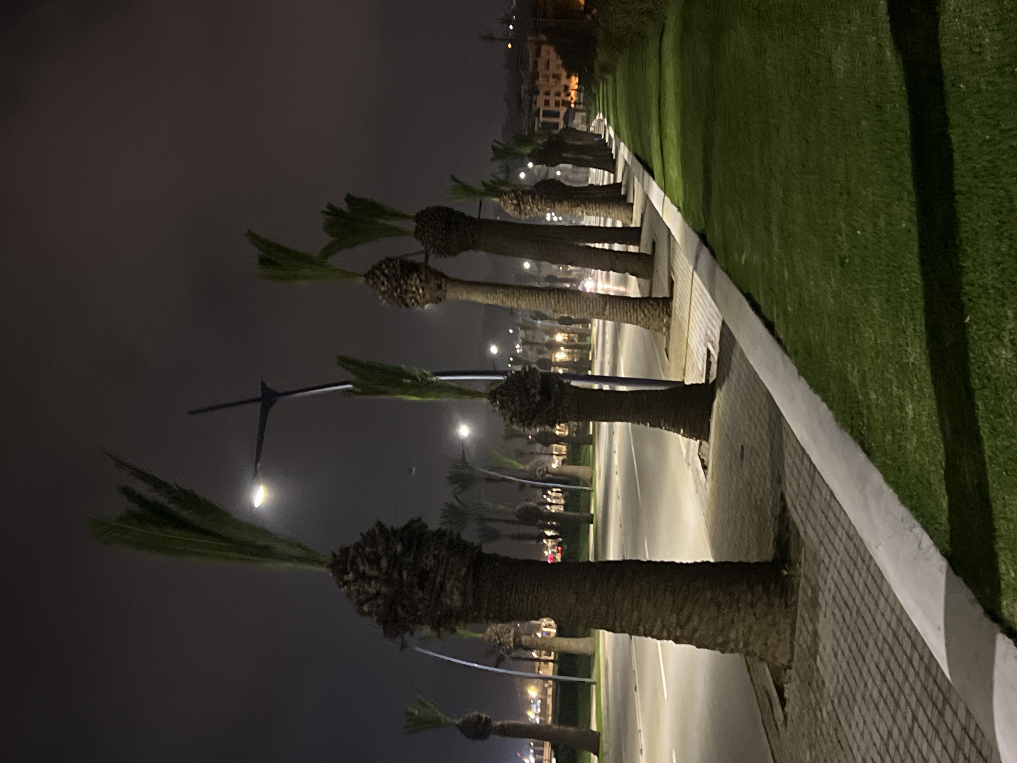 This image captures a serene nighttime scene of a boulevard or roadside in M'Diq, Morocco, presented with a 90-degree clockwise rotation. The primary subjects are a meticulously arranged row of tall palm trees with robust, textured trunks and vibrant green fronds, extending from the foreground into the receding distance on the left side of the frame.
Adjacent to the palm trees, a smooth, light-colored road, possibly a two-lane thoroughfare, stretches into the background. Several modern streetlights are visible, casting distinct glows against the dark night sky and illuminating sections of the road and trees. On the right side of the image, a low, white-capped wall or curb separates the road from a neatly manicured, bright green expanse of what appears to be artificial turf or finely kept grass, which also extends into the distance.
In the far background, beyond the line of trees and the road, a subtle collection of lights from distant buildings and possibly moving vehicles suggests an urban or developed area. The sky is dark and clear, indicating a calm night. The scene is devoid of people or specific activities, conveying a sense of stillness and order. The artificial lighting, orderly landscaping, and architectural elements in the distance point to a modern urban or coastal development. No visible text is present in the image.