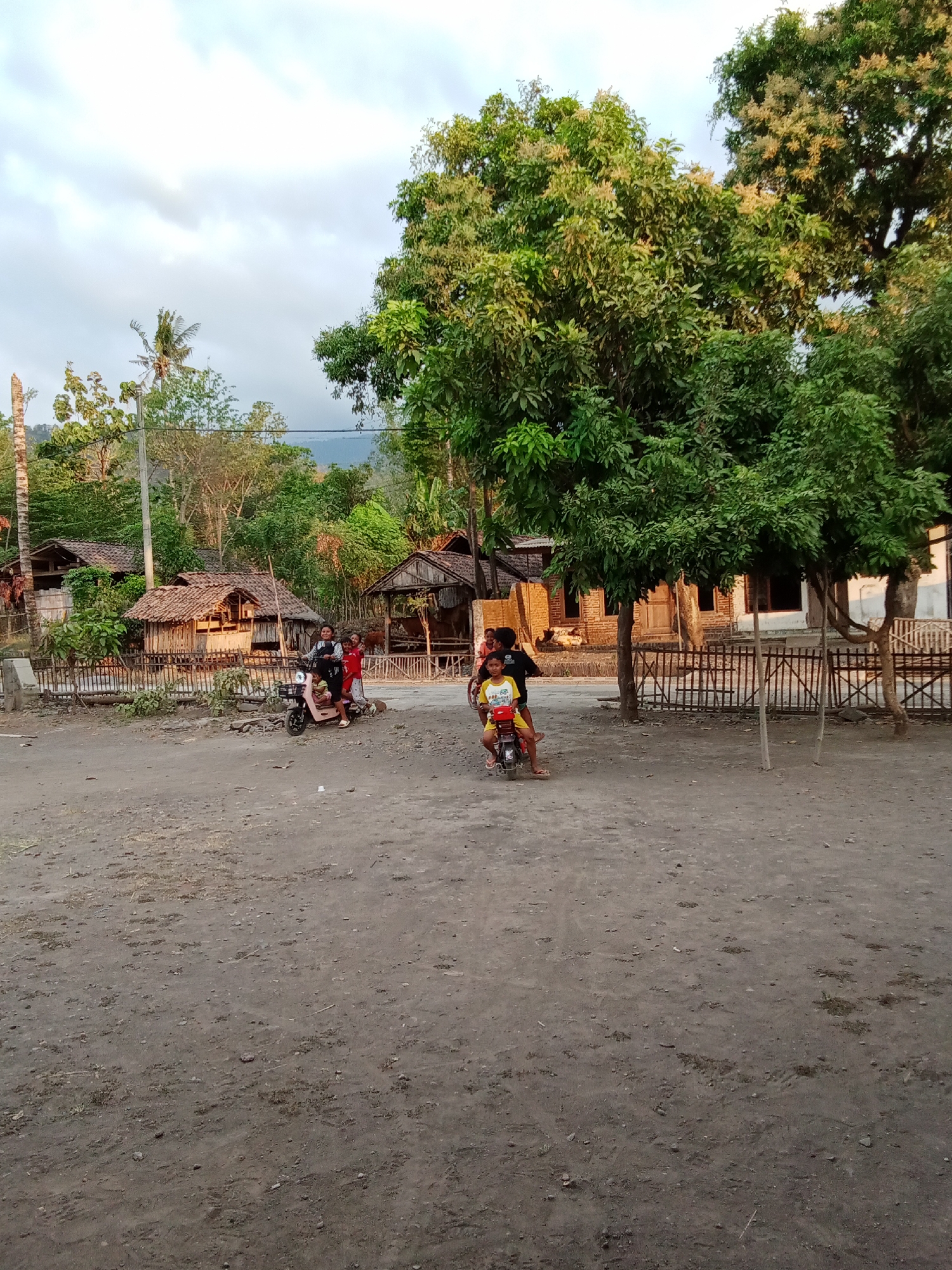 This is a full, eye-level, medium shot image of a dusty village scene in Selowogo, Indonesia. In the foreground, a dirt path with scattered rocks and sparse vegetation is visible. The middle ground features two motorbikes. On the left, a pink motorbike is being ridden by a child wearing a red shirt and black shorts, with another child in a white top and dark shorts sitting behind them. On the right, a yellow motorbike carries a child in a yellow shirt and black shorts, with another child in a dark shirt behind them.
Behind the motorbikes, a collection of traditional Indonesian houses with thatched roofs and wooden walls are arranged along a fence. These structures appear to be made from natural materials like wood and bamboo, with some featuring simple fences. A tall tree with lush green foliage dominates the right side of the image, casting shadows on the scene. In the background, more trees and vegetation are visible, with a cloudy sky overhead. The overall impression is one of a rural, possibly a warm climate.