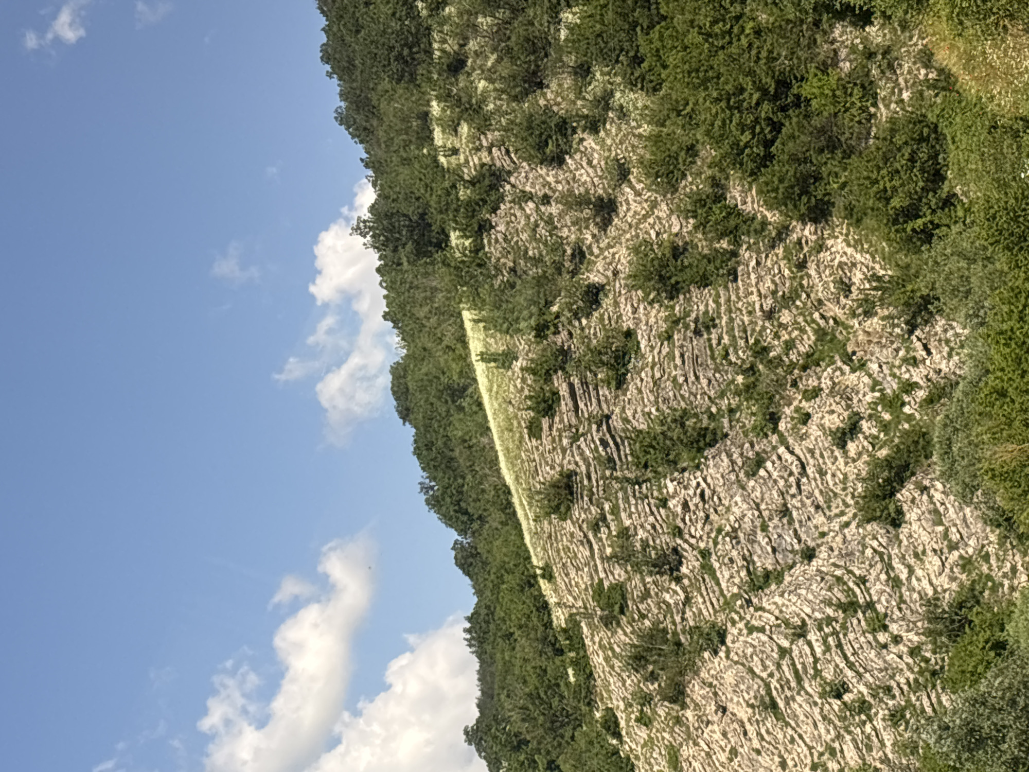 The image depicts a mountain slope in Prolaz, Bulgaria, under a bright blue sky with scattered white clouds. The slope is characterized by a rugged, rocky terrain with layers of light-colored stone forming a textured surface. Sparse green vegetation, consisting of small bushes and grasses, grows in patches across the rocky sections. Higher up the slope and along the ridge, a dense forest of lush green trees covers the landscape. The overall scene is a natural, undisturbed environment, emphasizing the geological formations and the surrounding flora. There are no people or visible man-made structures in the image.