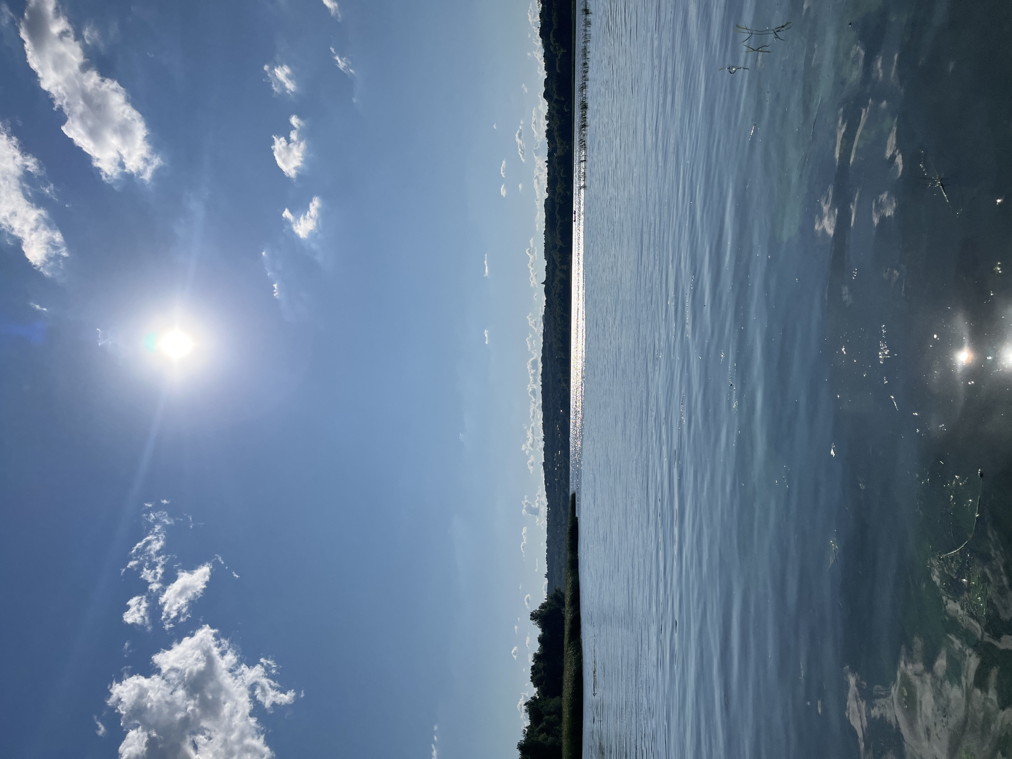 The image depicts a wide, calm body of water under a bright, sunny sky with scattered white clouds. The sun is high in the sky, casting a strong glare on the water's surface. The horizon is lined with a dense green forest, and in the distance, a gentle hill slopes upwards, topped with more trees and hints of buildings. The foreground is dominated by the water, which appears to have some scattered aquatic vegetation or debris near the surface. There are no visible people or vessels in the image. The overall impression is one of a serene natural landscape on a clear day. While the image is not definitively identifiable to a specific location in Saratov, Russia, the description is consistent with the natural scenery found along the Volga River, which flows through the city.