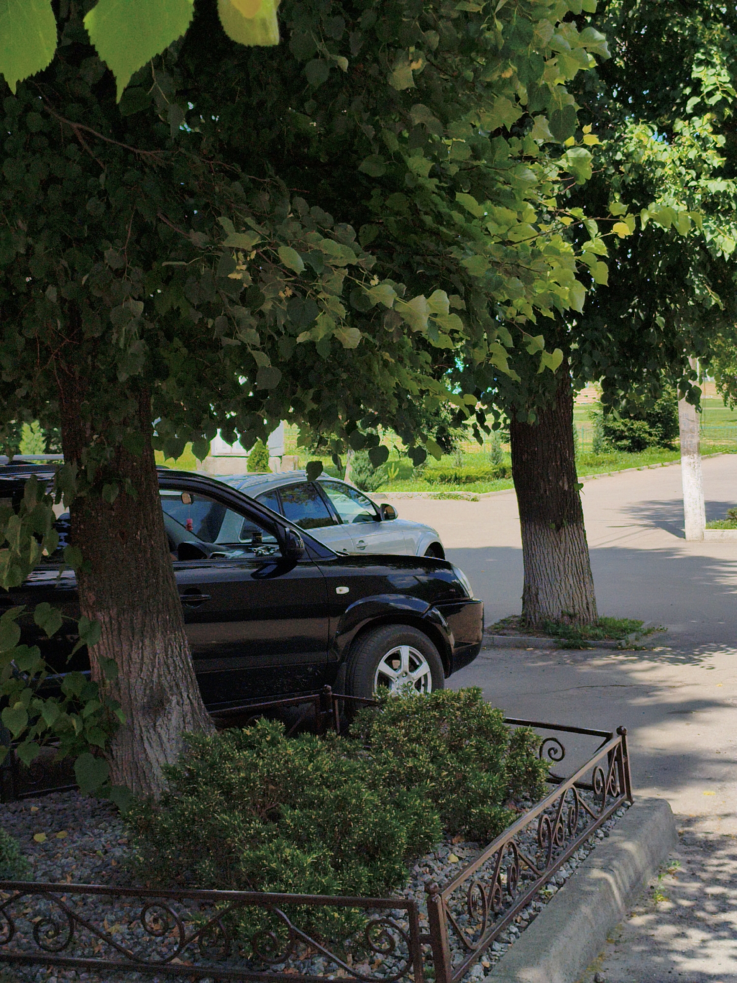 In Velyka Bahachka, Ukraine, a black SUV is parked next to a light-colored sedan under the dappled shade of a leafy tree on a sunny day. The vehicles are positioned on a paved surface, possibly a street or parking area, with a concrete curb and a decorative metal fence bordering a gravelly area with a small bush. The tree, with its rough bark, stands prominently in the foreground, its branches and green leaves creating a natural canopy over the parked cars. In the background, a sidewalk or pathway is visible, along with more greenery and structures, suggesting a residential or public space within the town.