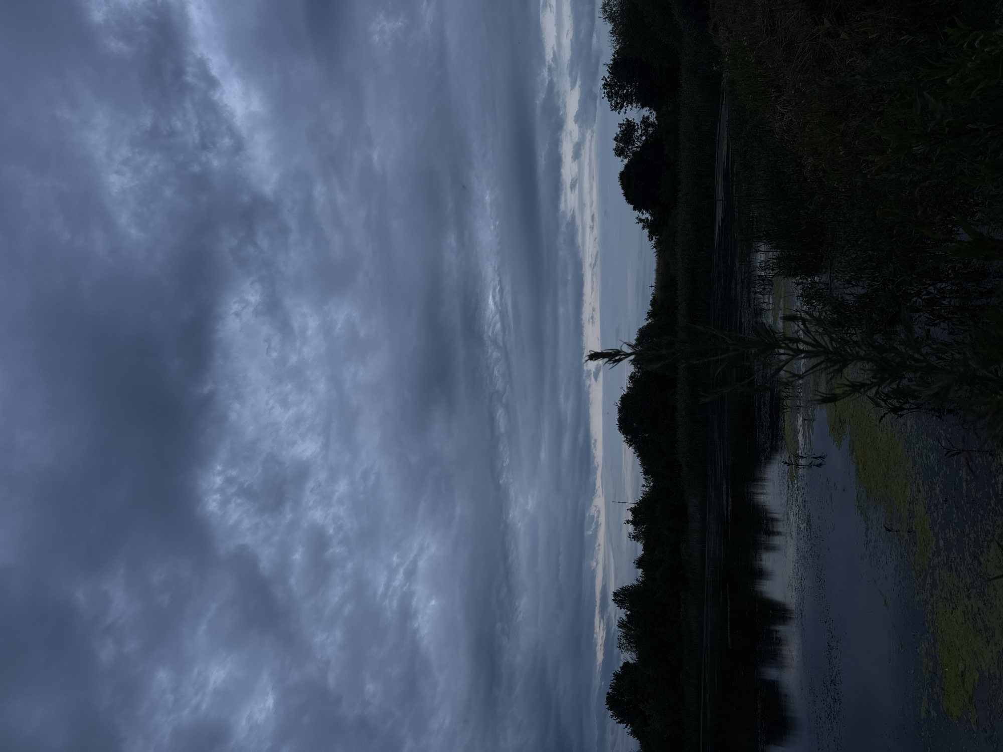 The image depicts a tranquil natural scene, likely at dusk or dawn, featuring a body of water reflecting a cloudy sky. The sky is filled with dense, dark grey clouds, suggesting overcast weather. The water's surface is mostly still, with some visible patches of algae or aquatic plants. A line of trees and vegetation forms a dark silhouette along the far bank of the water. In the foreground, a tall, slender plant stands prominently, its silhouette dark against the muted background. The overall atmosphere is subdued and peaceful. The location is identified as Vinnytsia, Ukraine. There are no people or animals visible in the image.